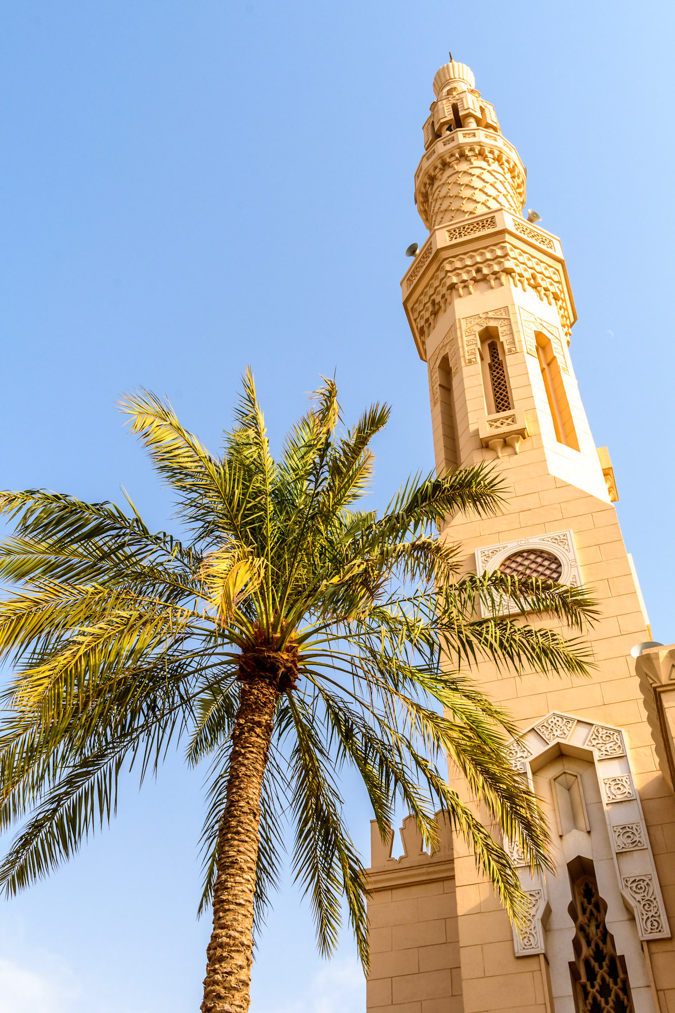 Mosque and Palm - Dubai