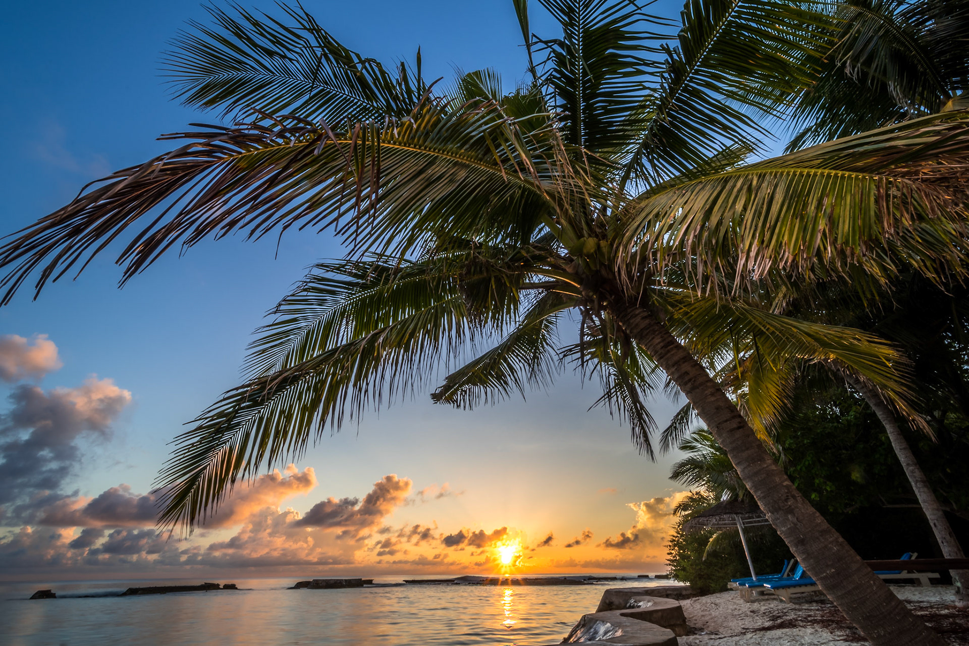 Sunrise Palm - Maldives