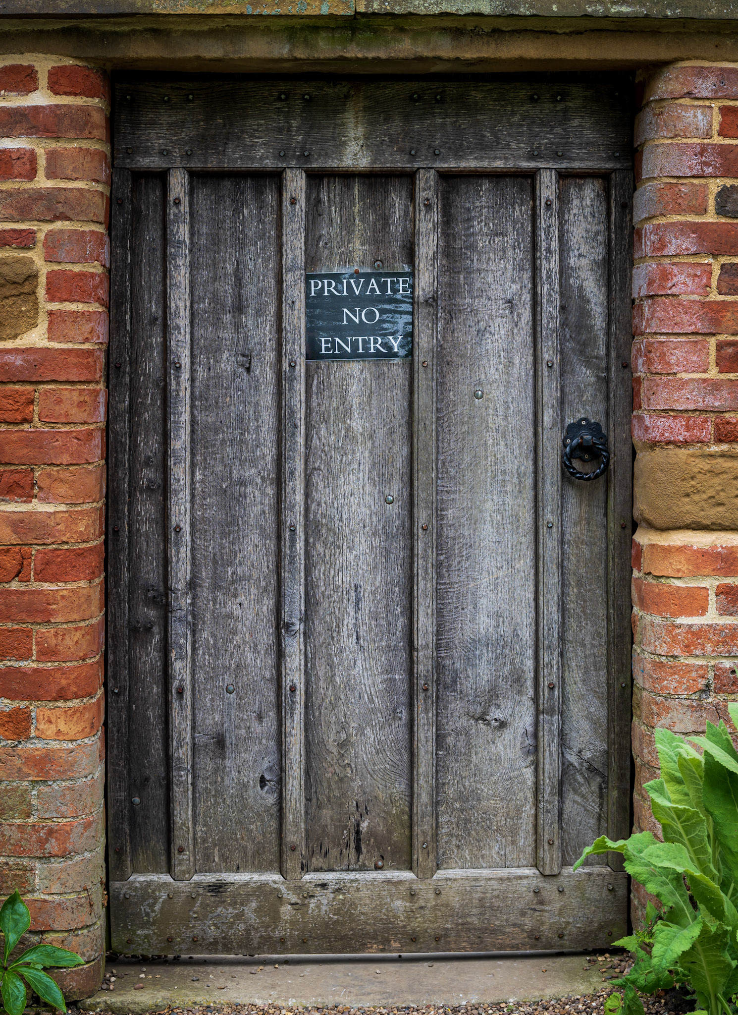 Door