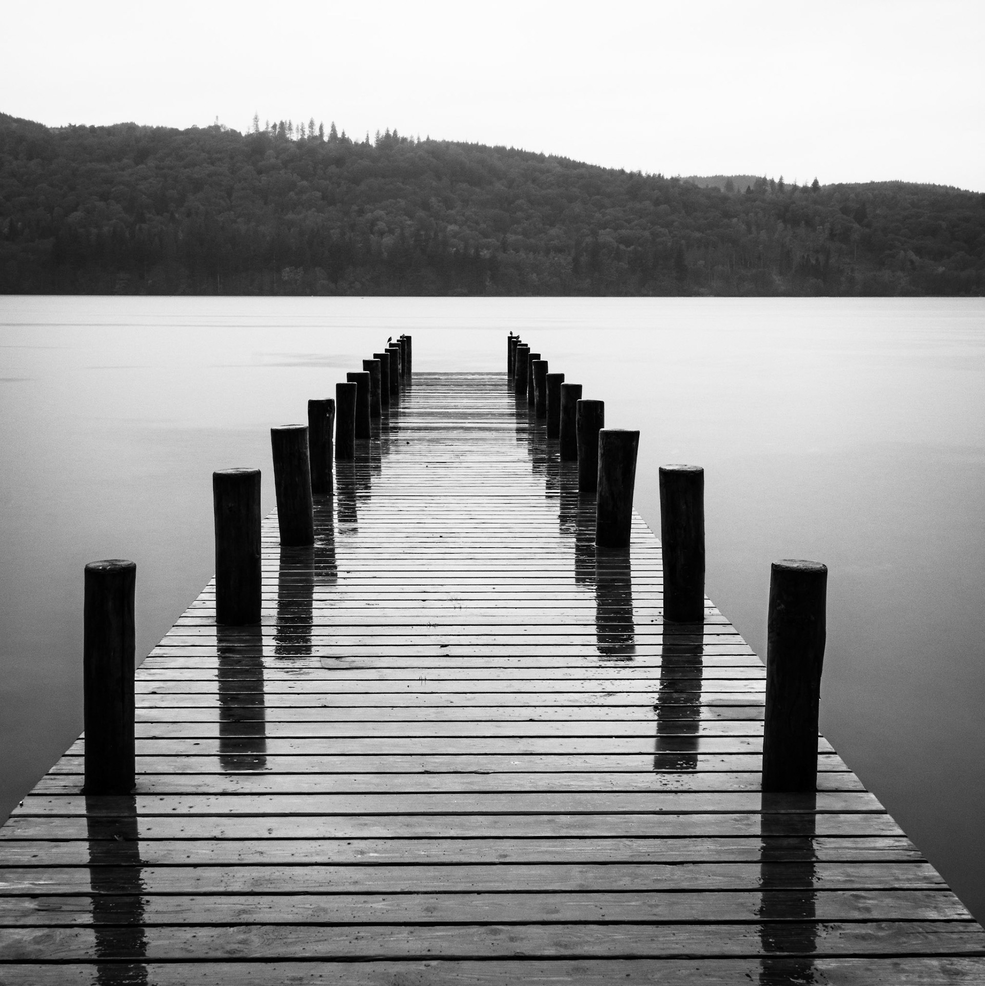 Windermere - Lake District