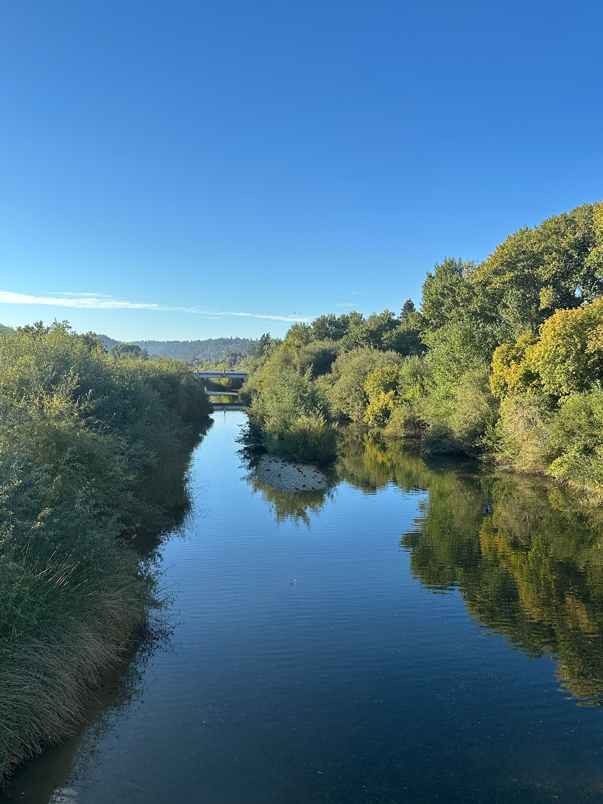 San Lorenzo River