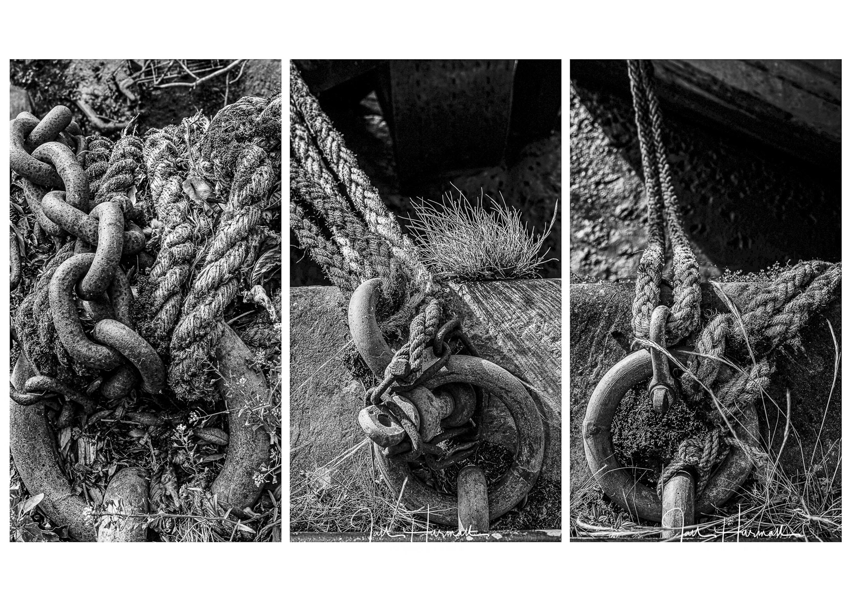 Mooring rings tryptch