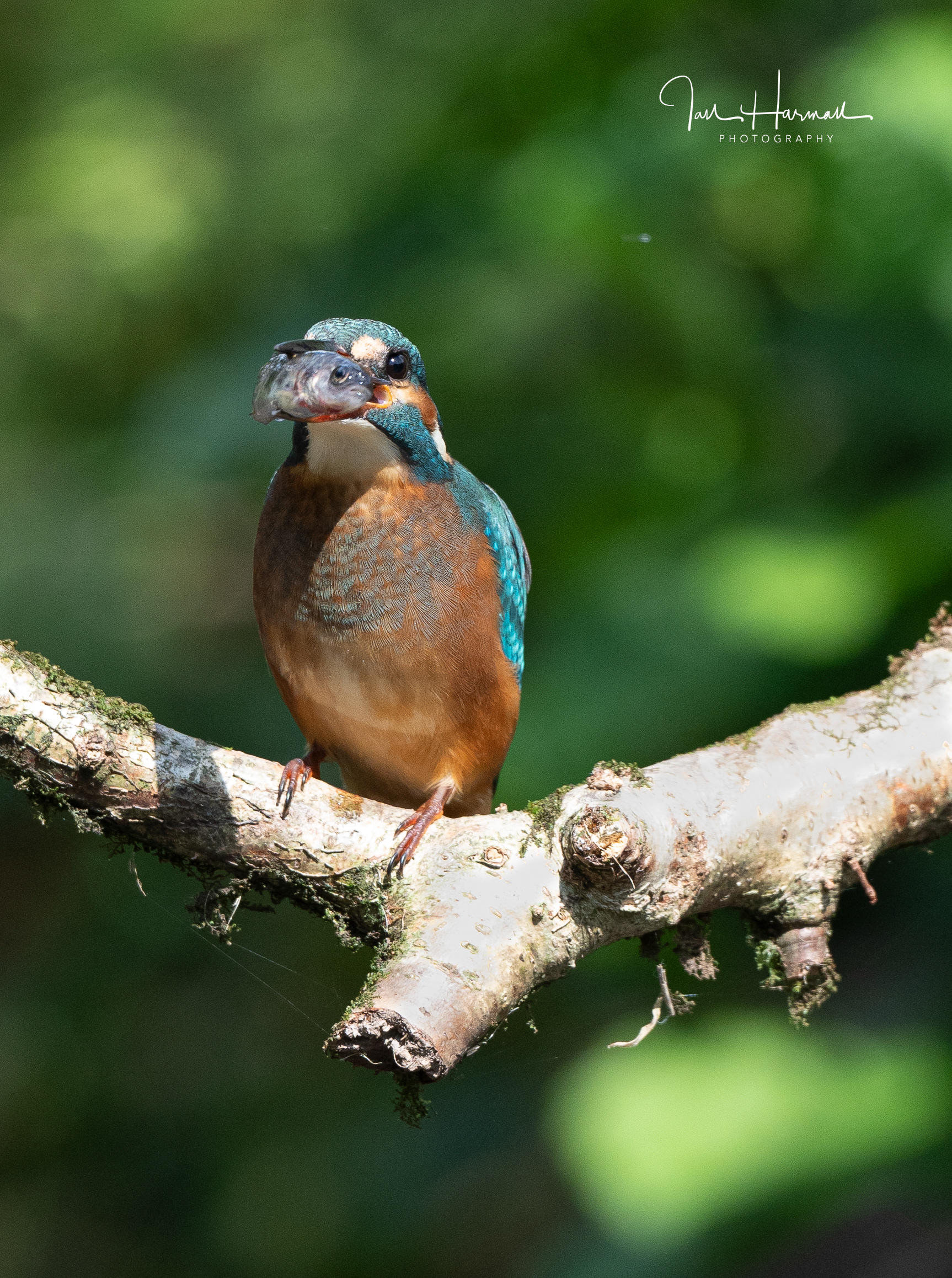 Eyes front for the camera