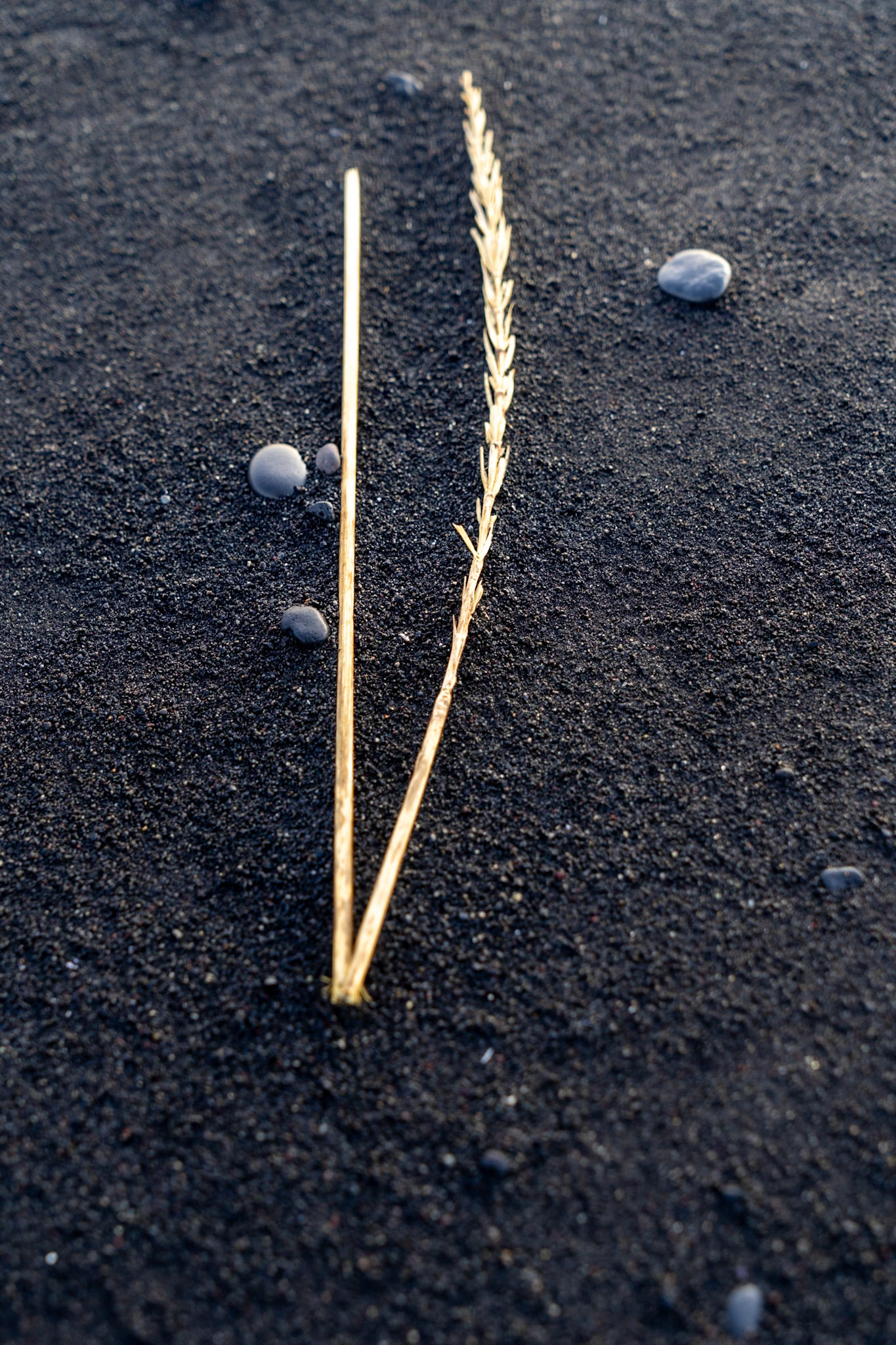  Reynisfjara, Black Sand Beach, Vik