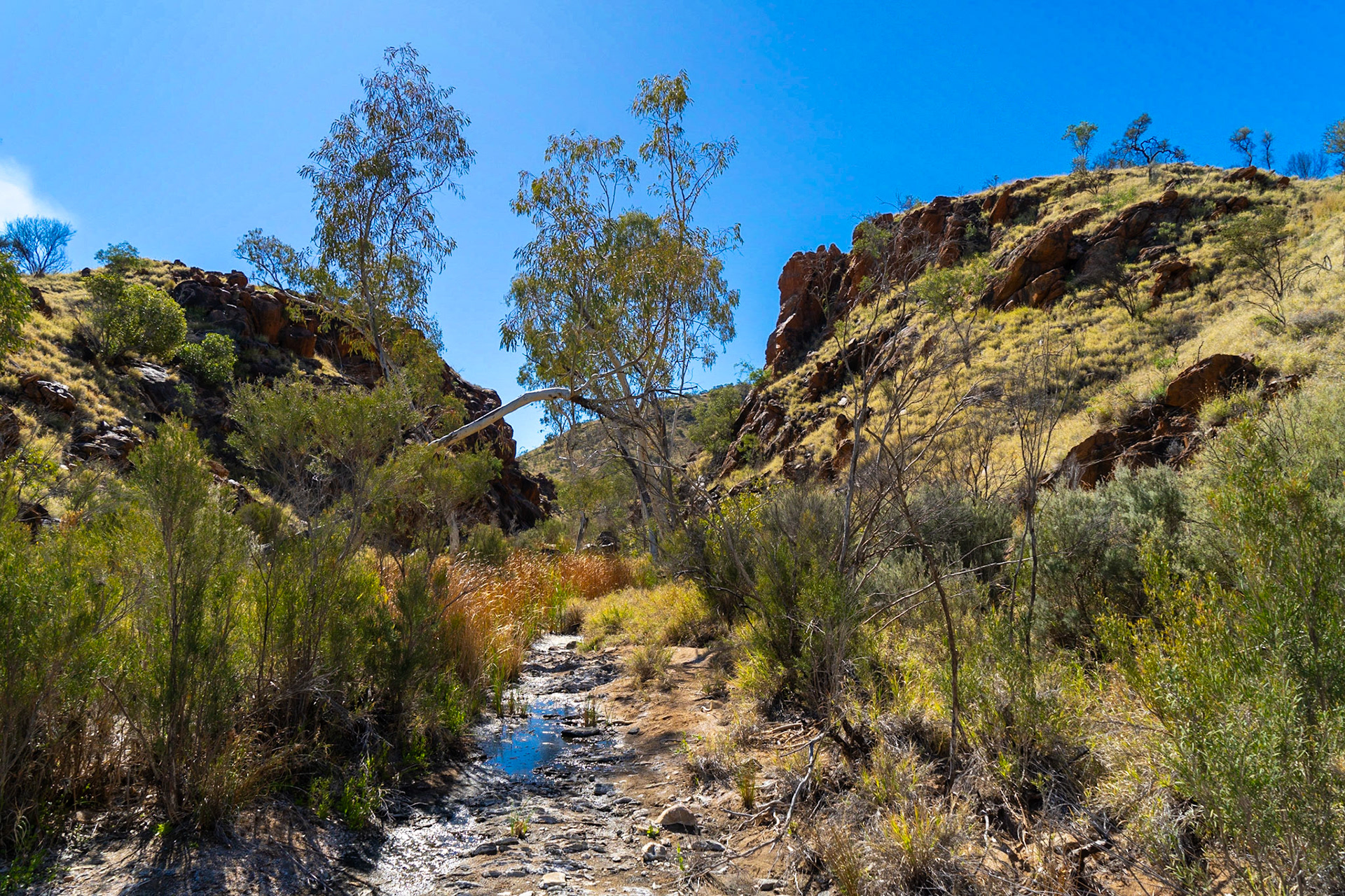 Wallaby Gap