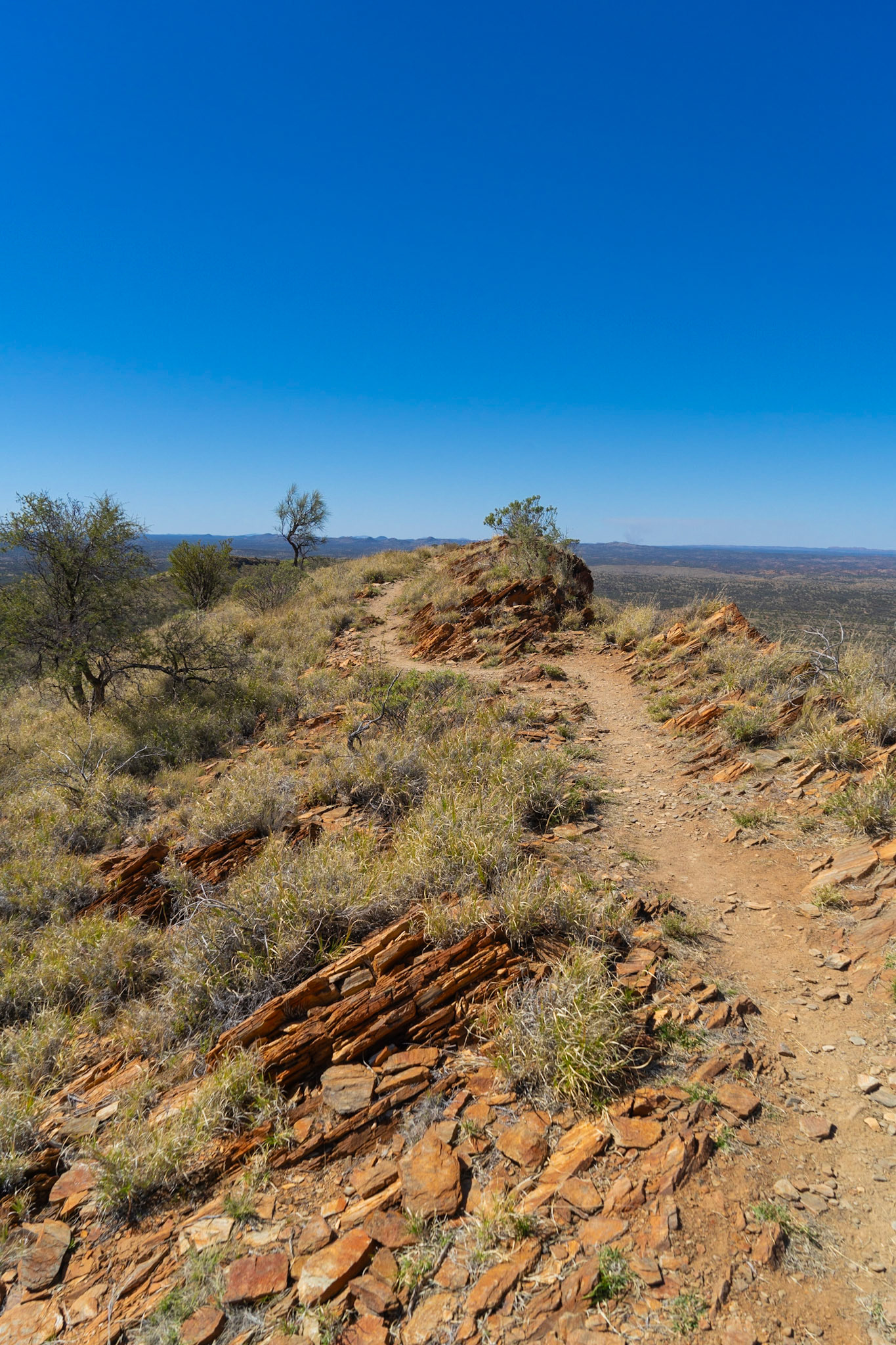 The path along Euro Ridge