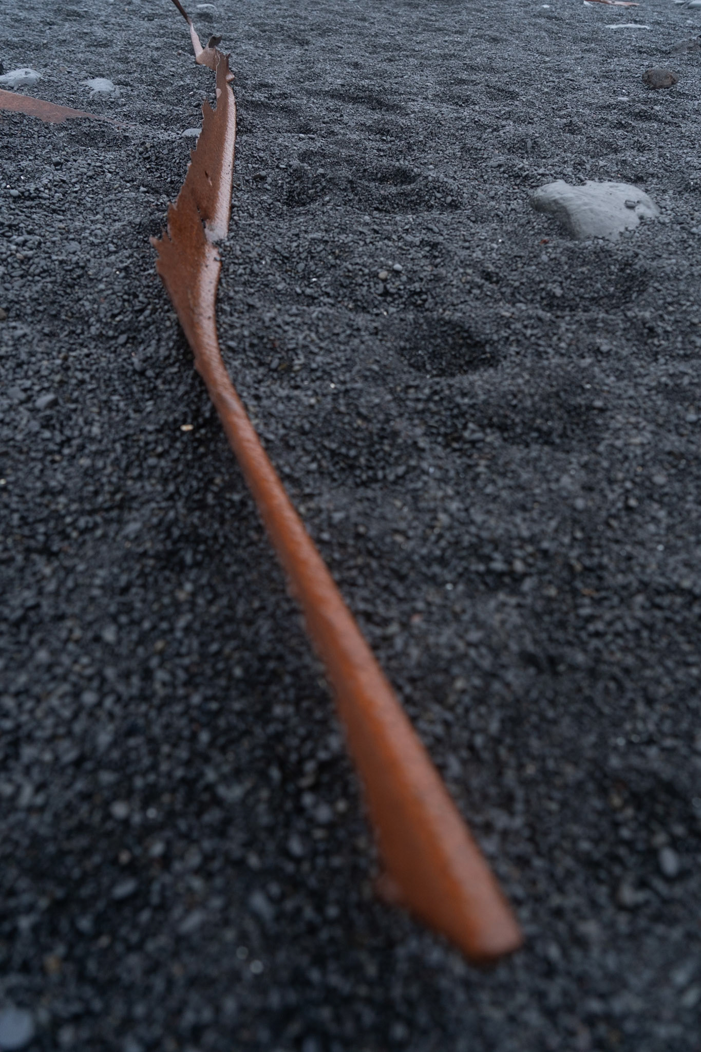 Djúpalónssandur, Snæfellsnes Peninsula