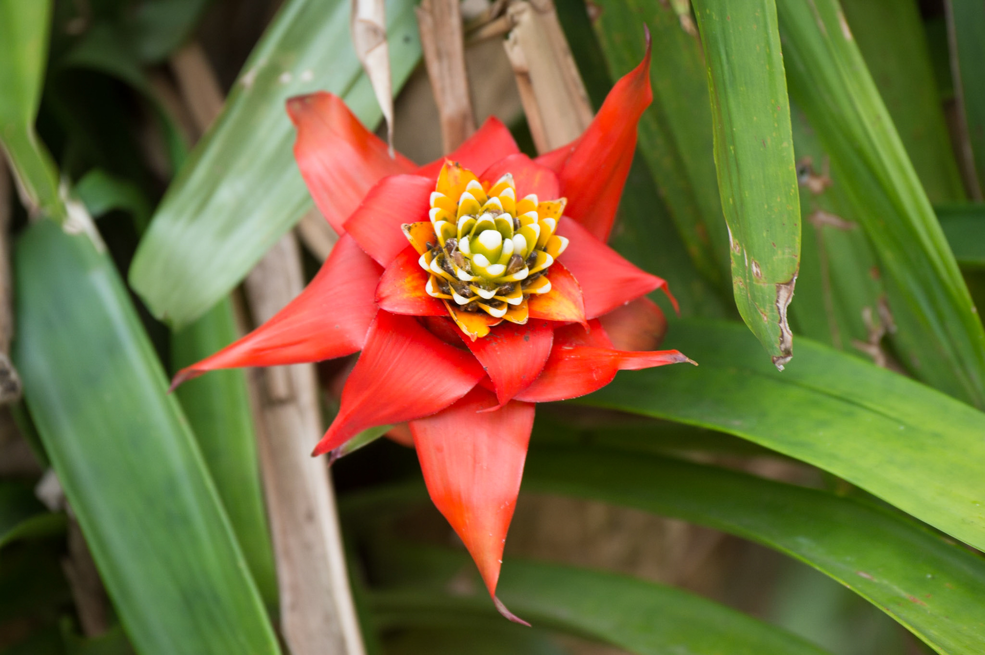 I'm out of guesses, let me now if you know.