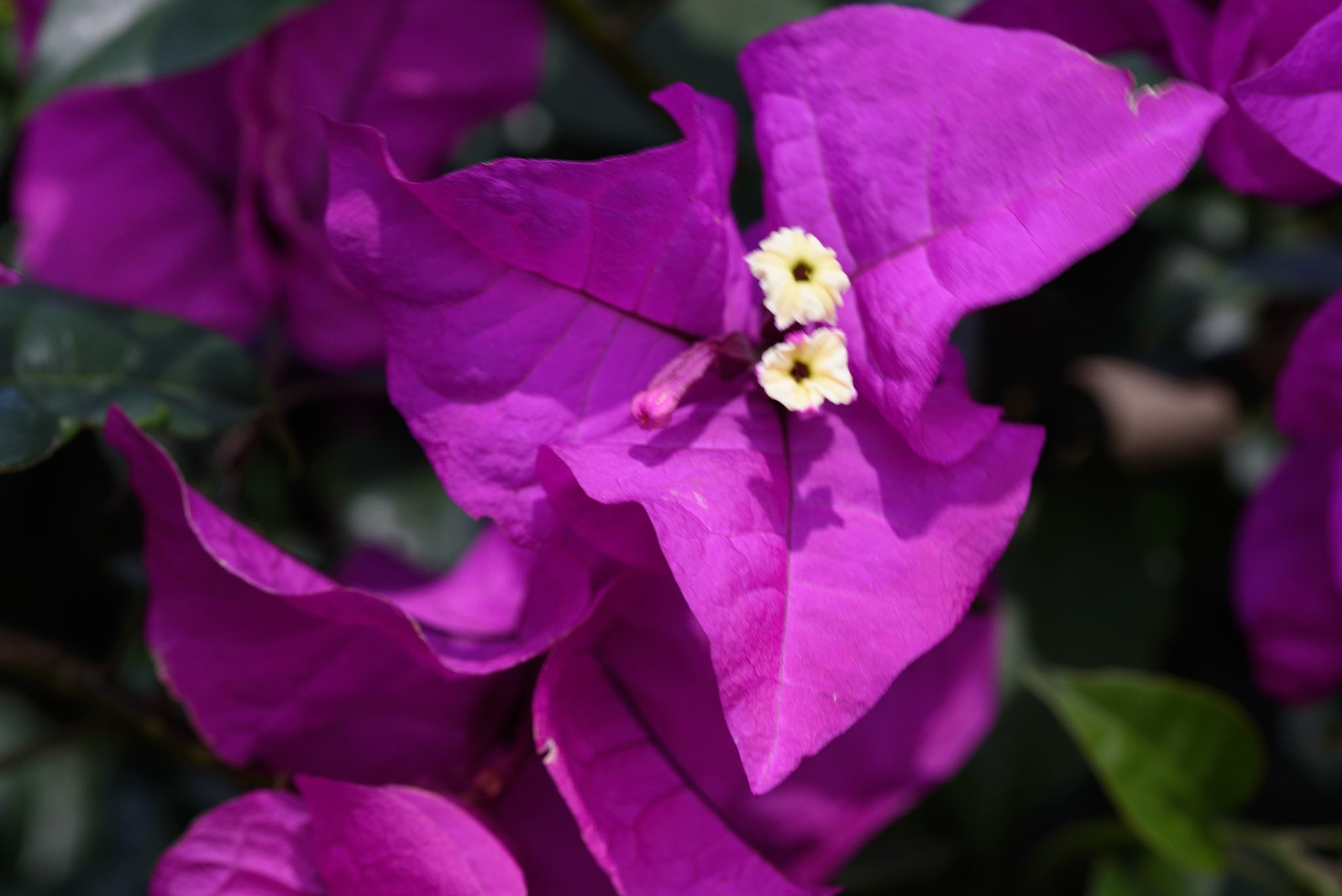 ID help welcomed! Thank you