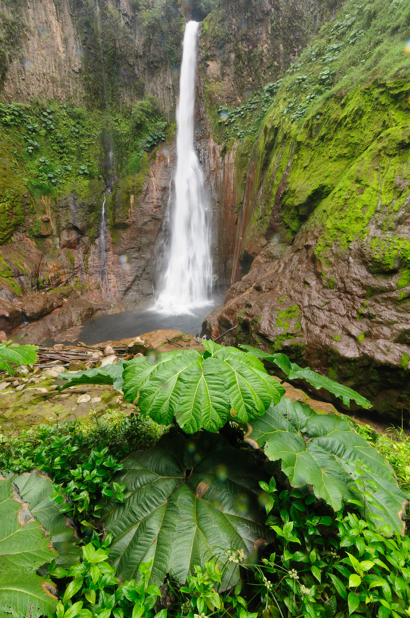Catarata del Toro Waterfall Costa Rica