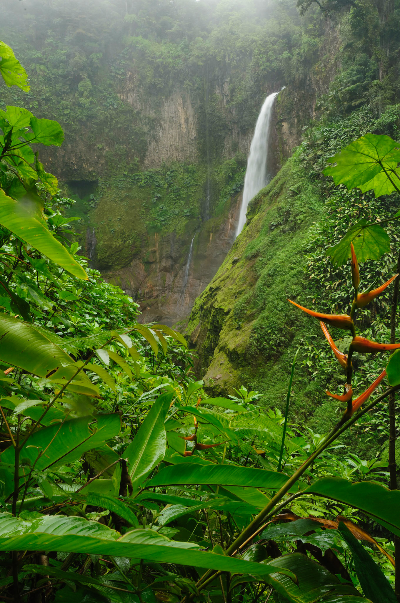 Catarata del Toro Waterfall Costa Rica