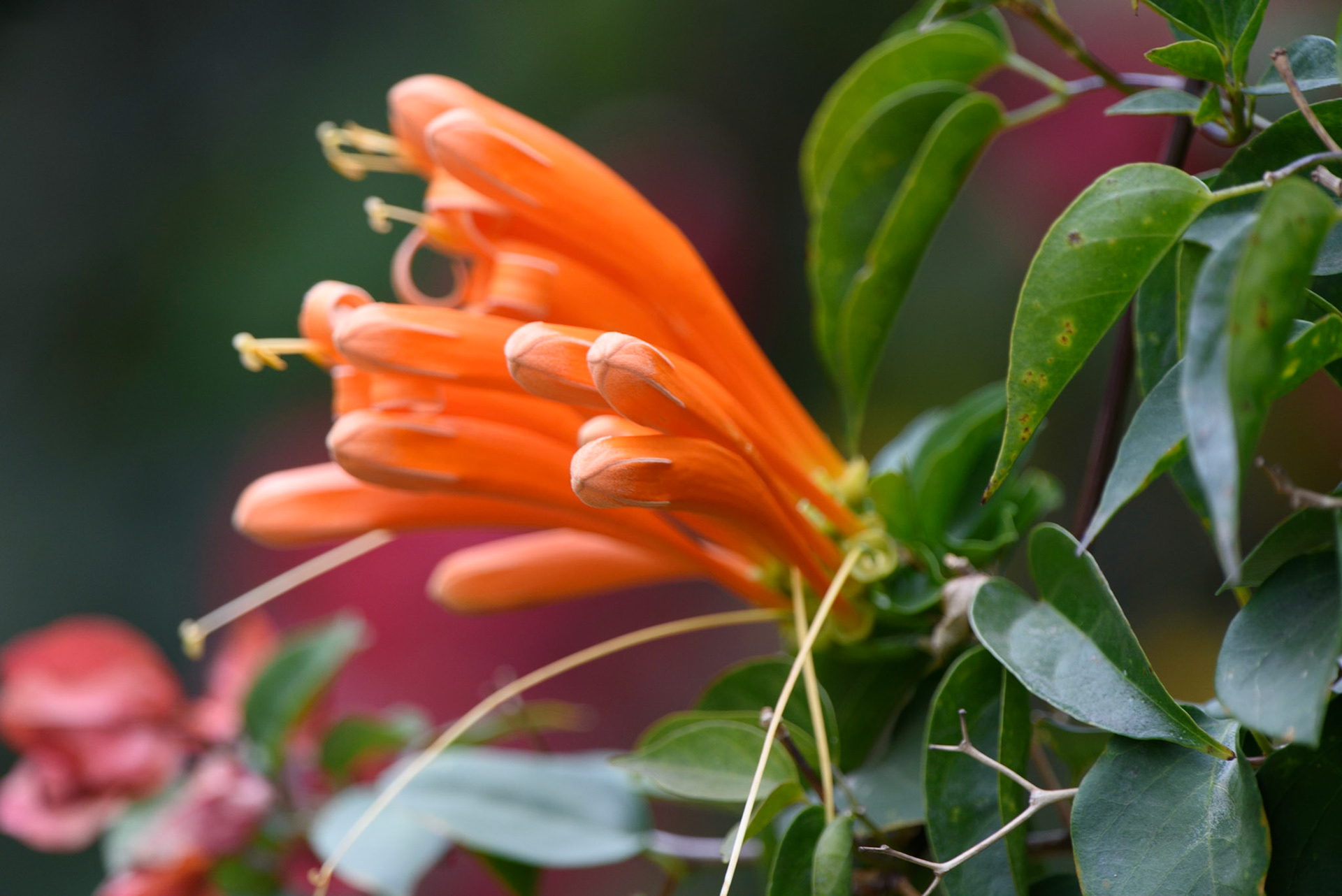 Know it? Tell it please!