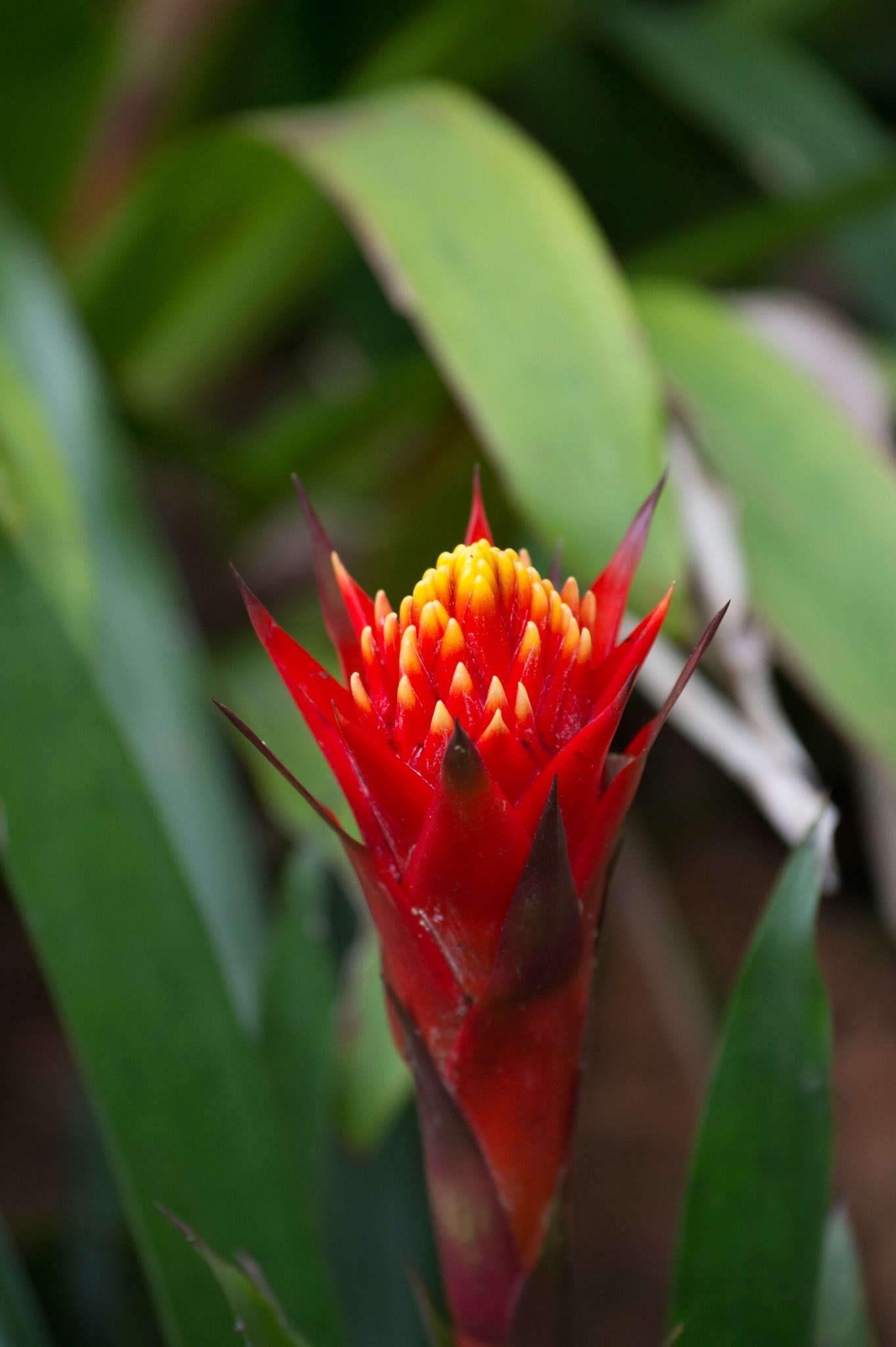 Let me know if I won the bet!