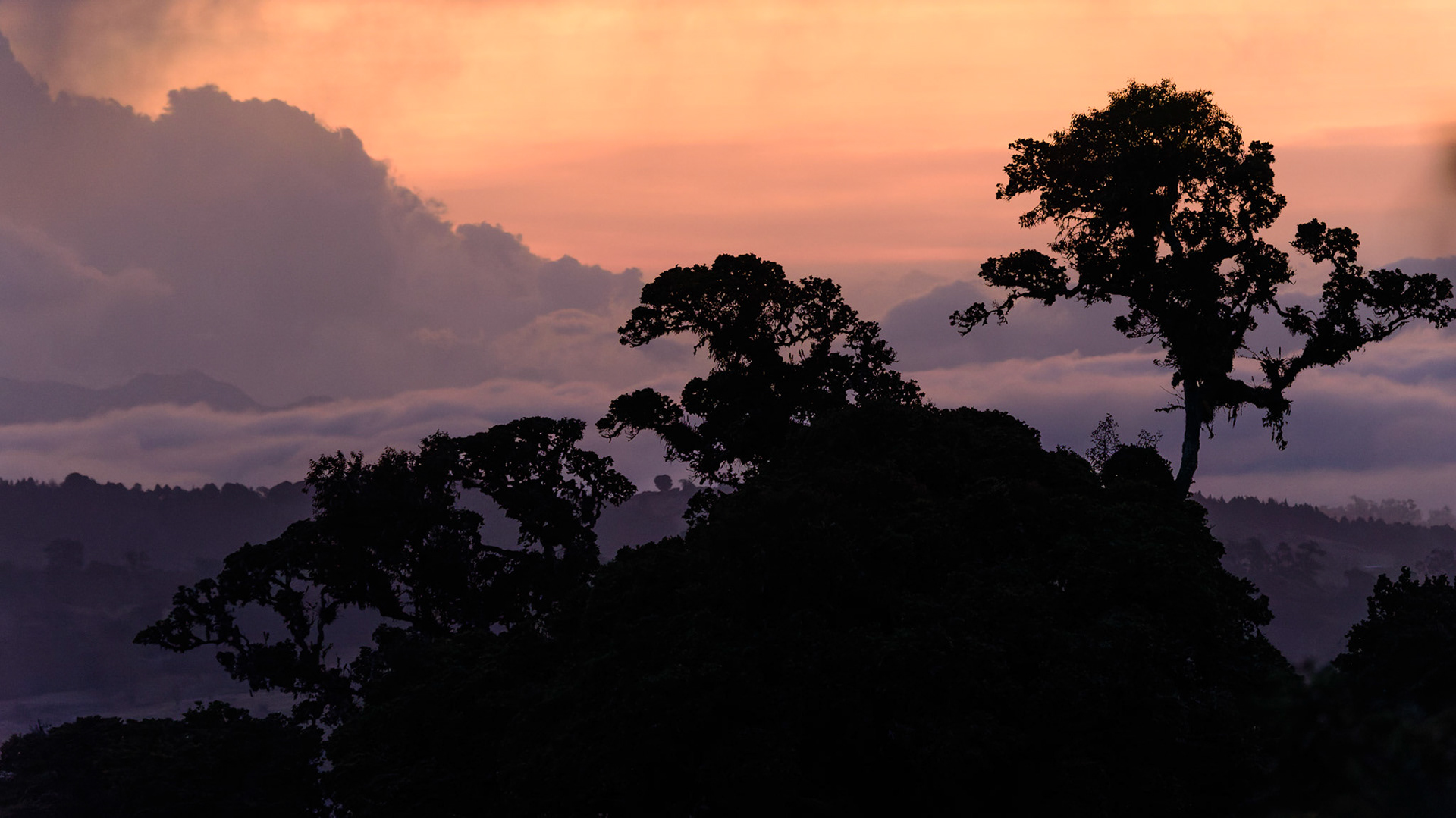 Gorgeous Sunset in Costa Rica