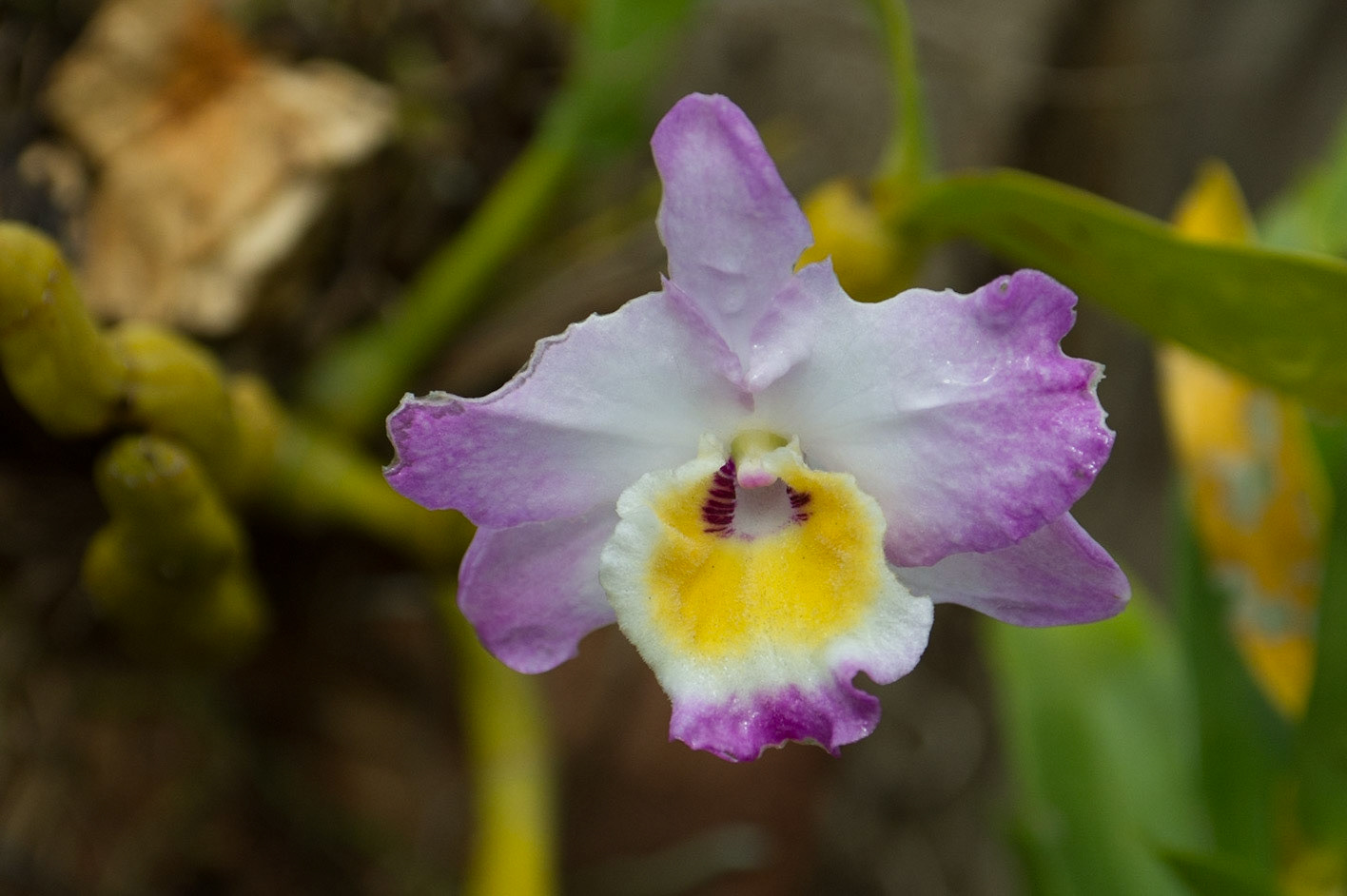 I don't like when I don't the names of tings! Can you help?