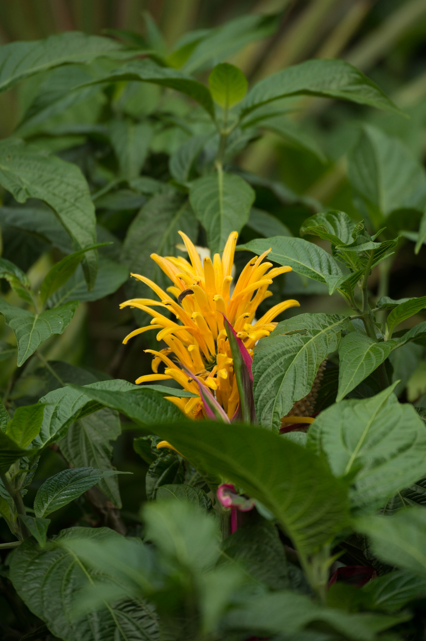 Got a clue? I'll take it!