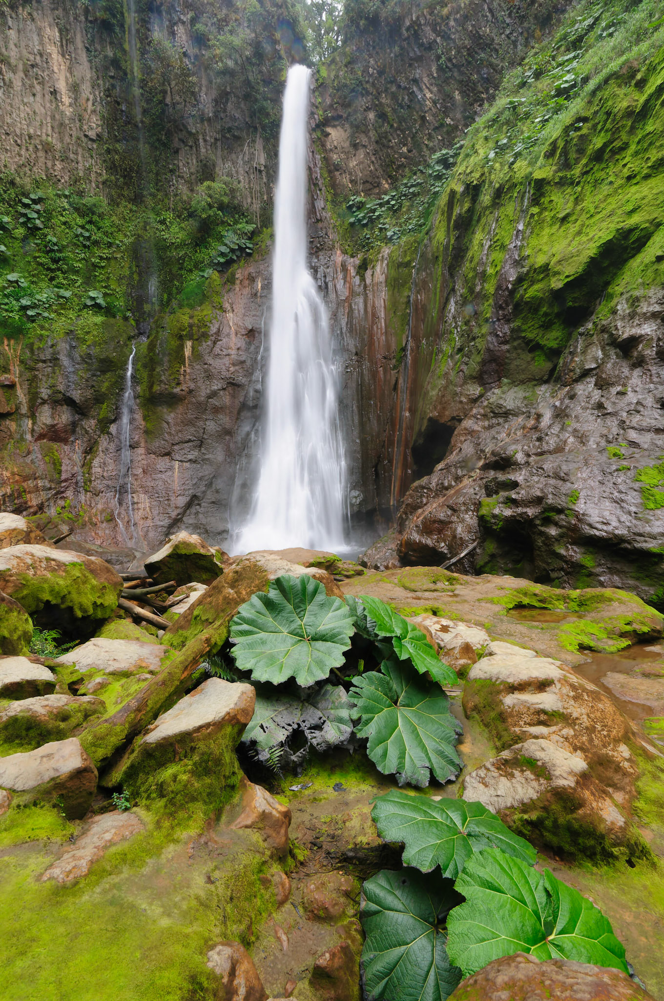 Catarata del Toro Waterfall Costa Rica