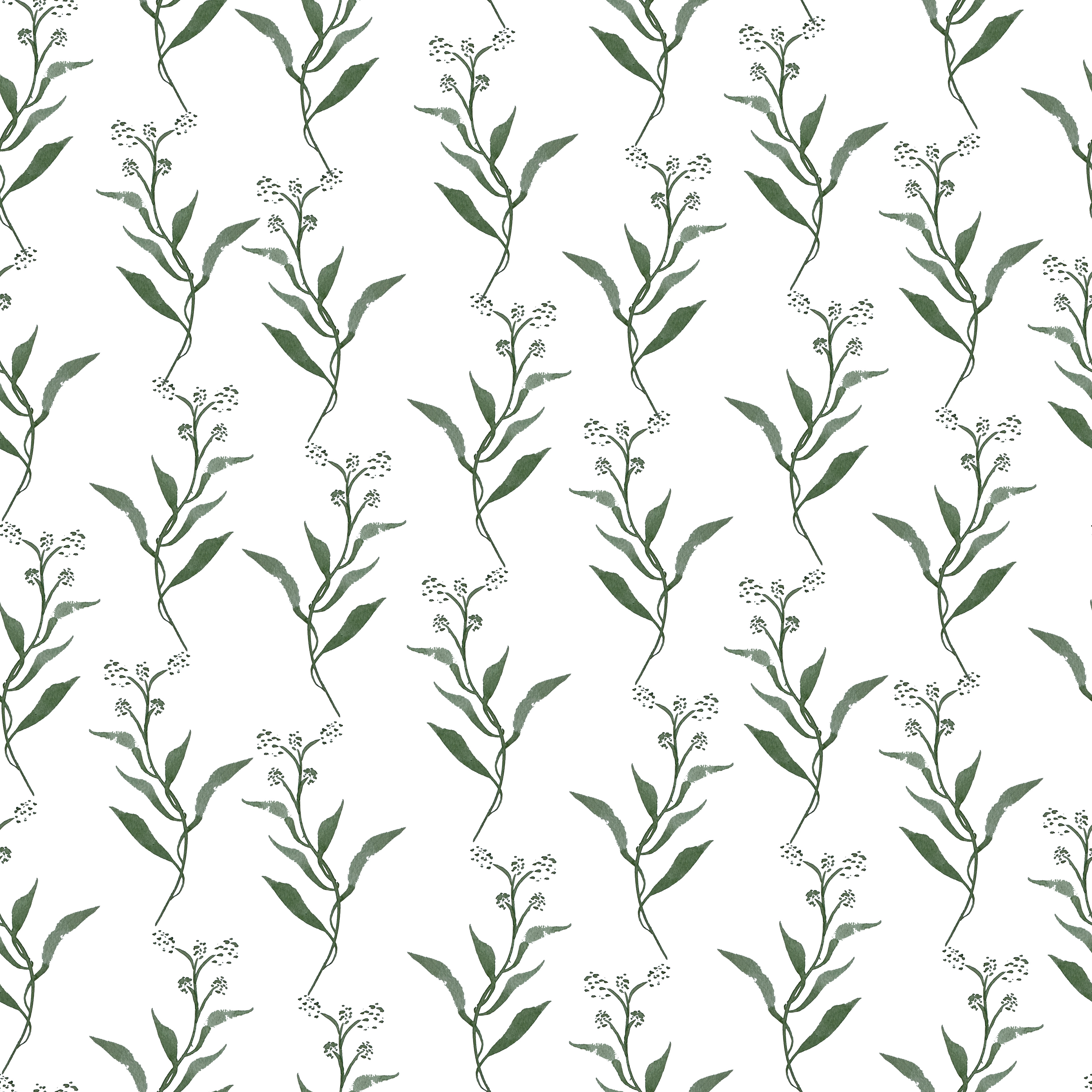 Sea Grass: AK24