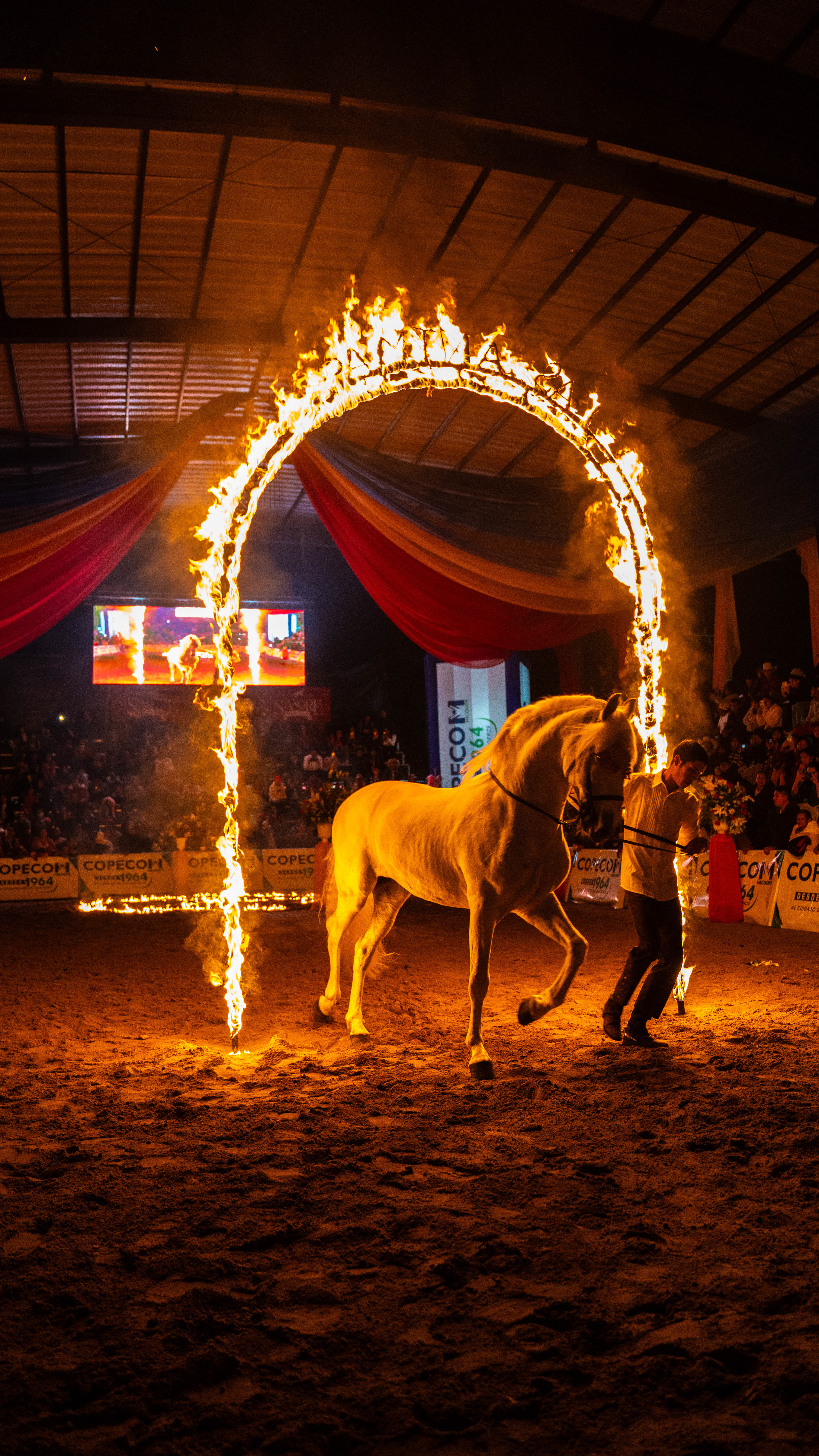 A breathtaking spectacle: a majestic horse gallops through a flaming arch during the thrilling Spanish Night in Zaragoza, Chimaltenango. A moment of power, tradition, and adrenaline. 🔥🐎