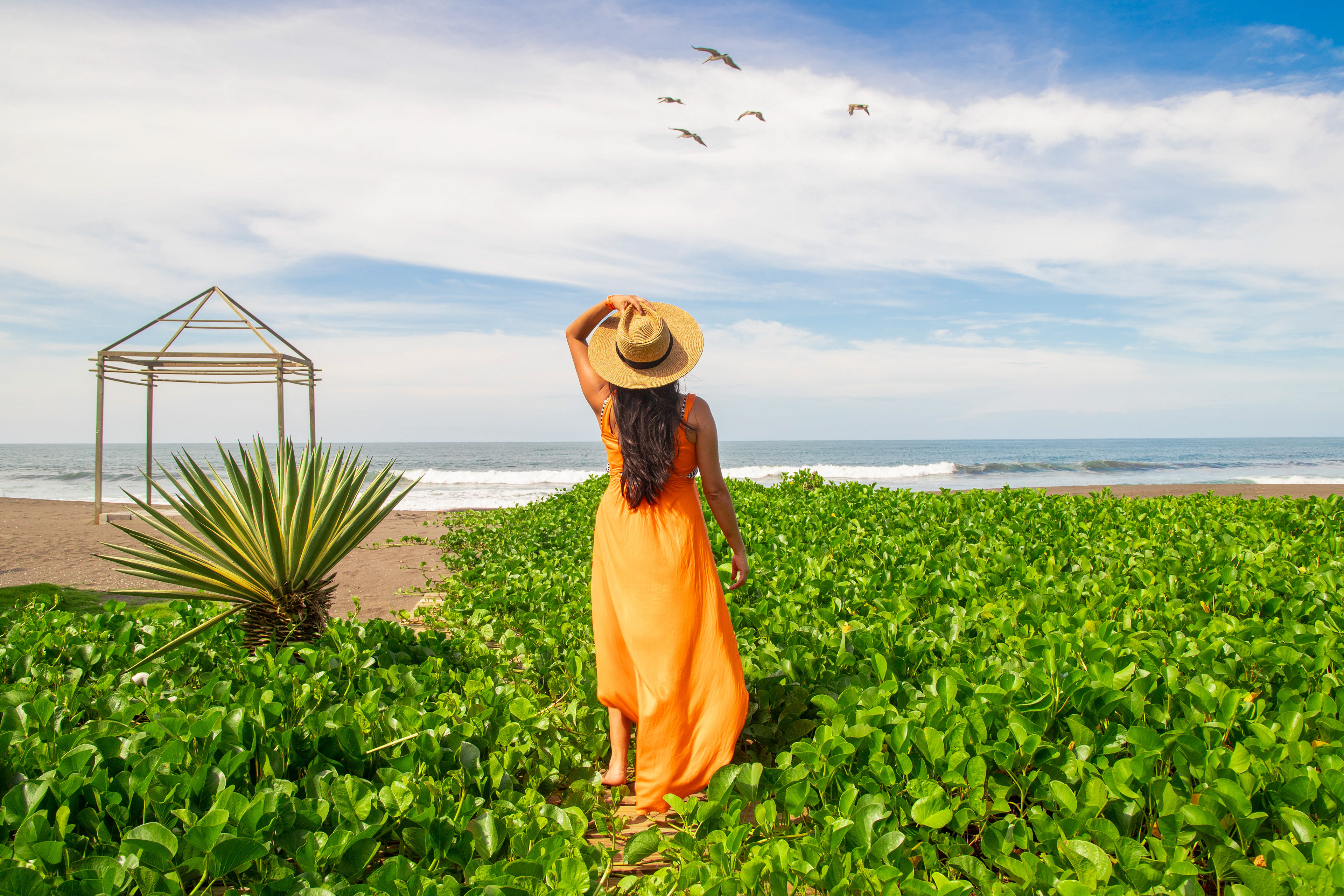 A serene moment as a young woman gazes at the beauty of Hawaii Beach, Monterrico, soaking in the breathtaking view on a bright and sunny summer day. 🌊☀️