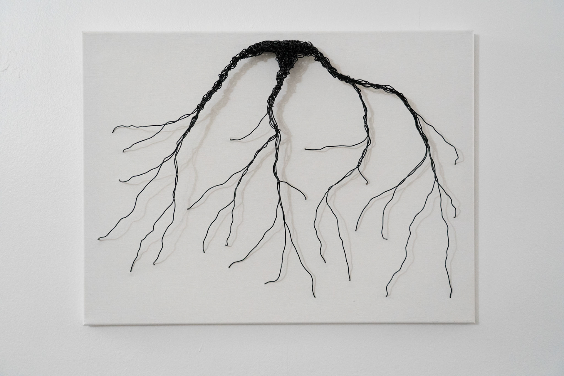 Black Roots