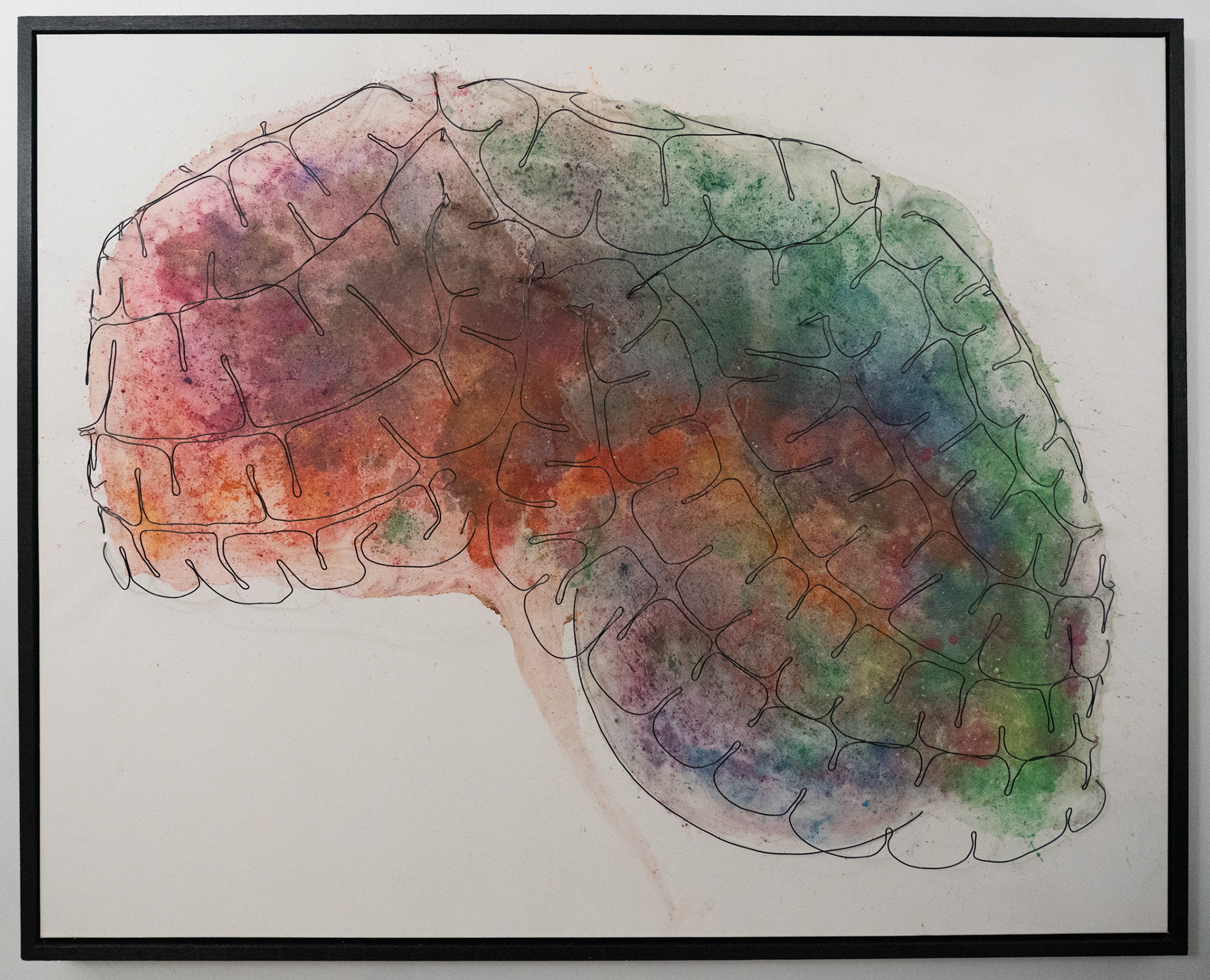 Thoughts, Feelings, and Ideas