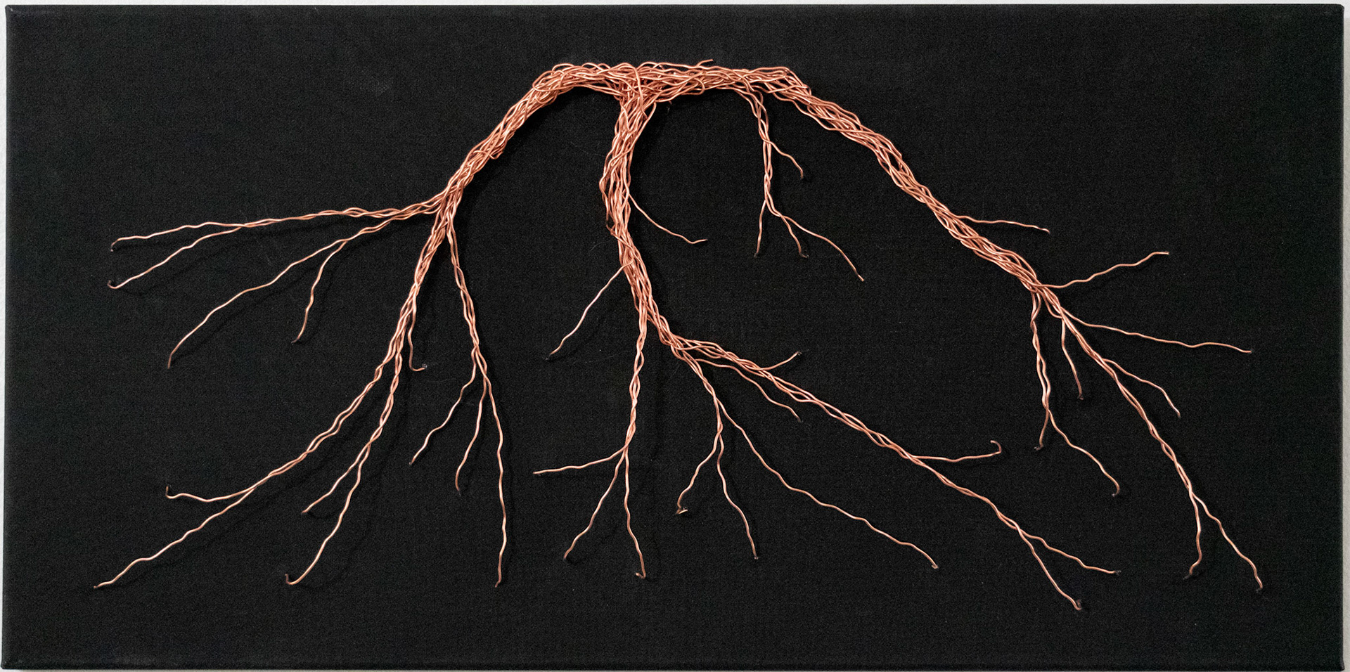 Copper Roots