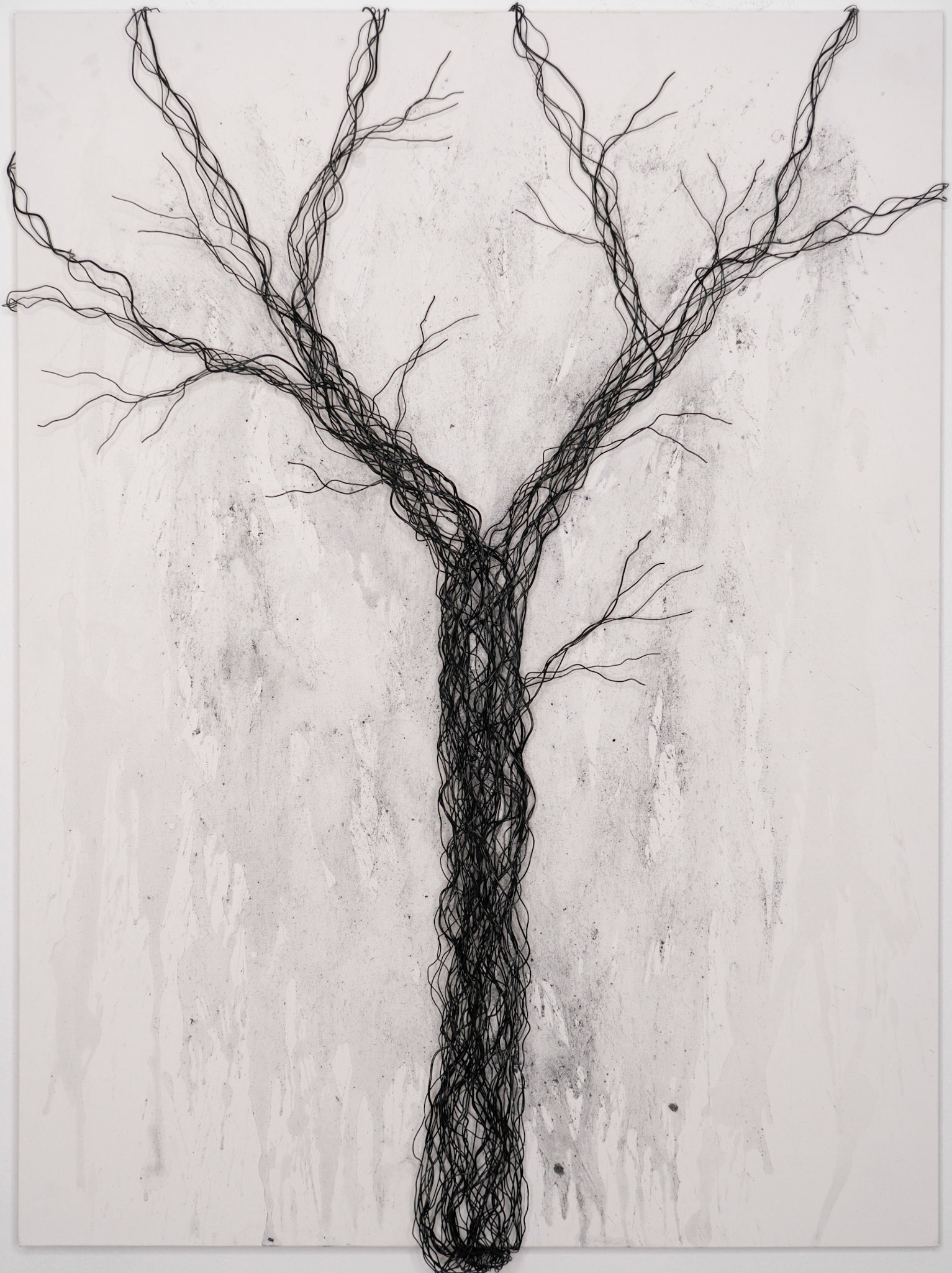 Growth Above