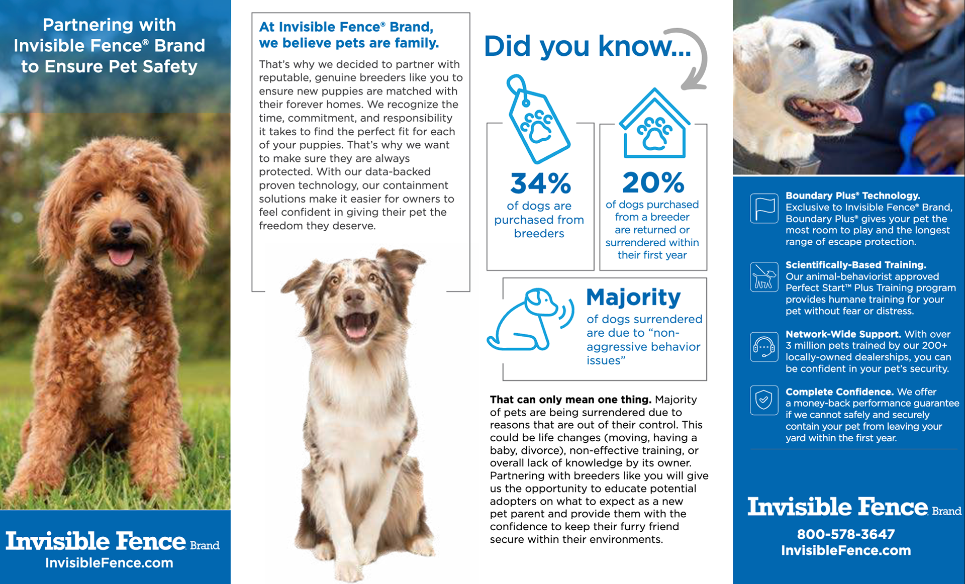 Brochure Spread