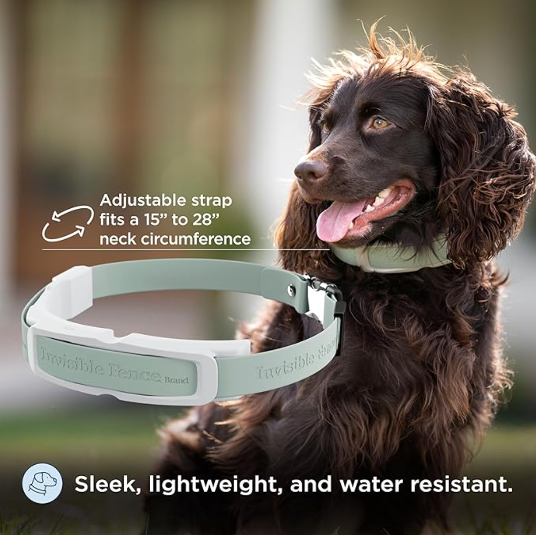 GPS Collar Amazon and Chewy PDP 2