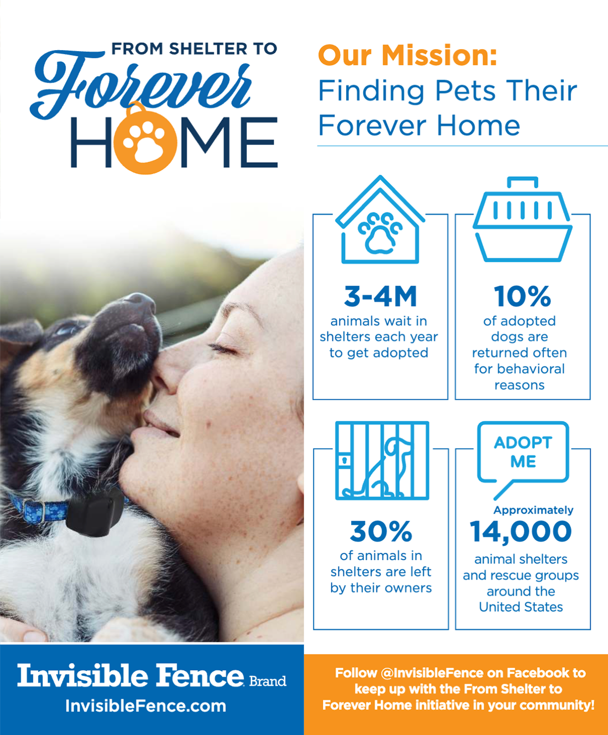 Adoption Brochure
