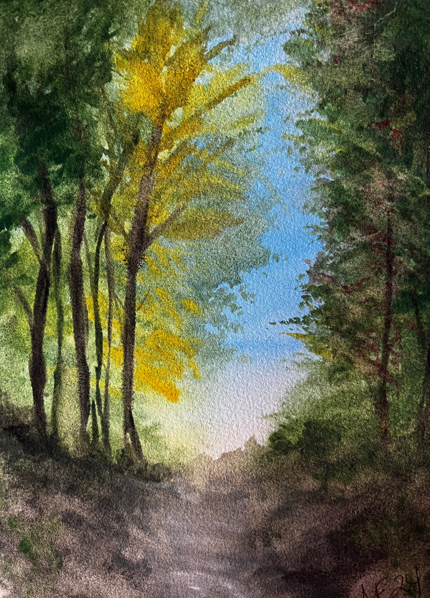 Available for Sale: autumn woods - watercolor