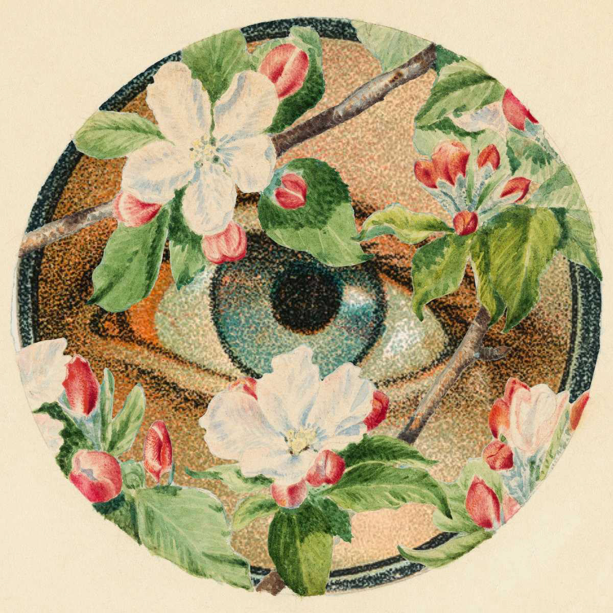Eye on Eden