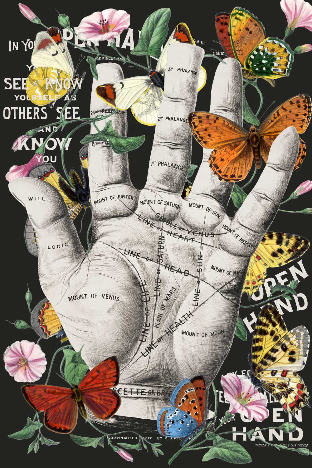 Open Hand