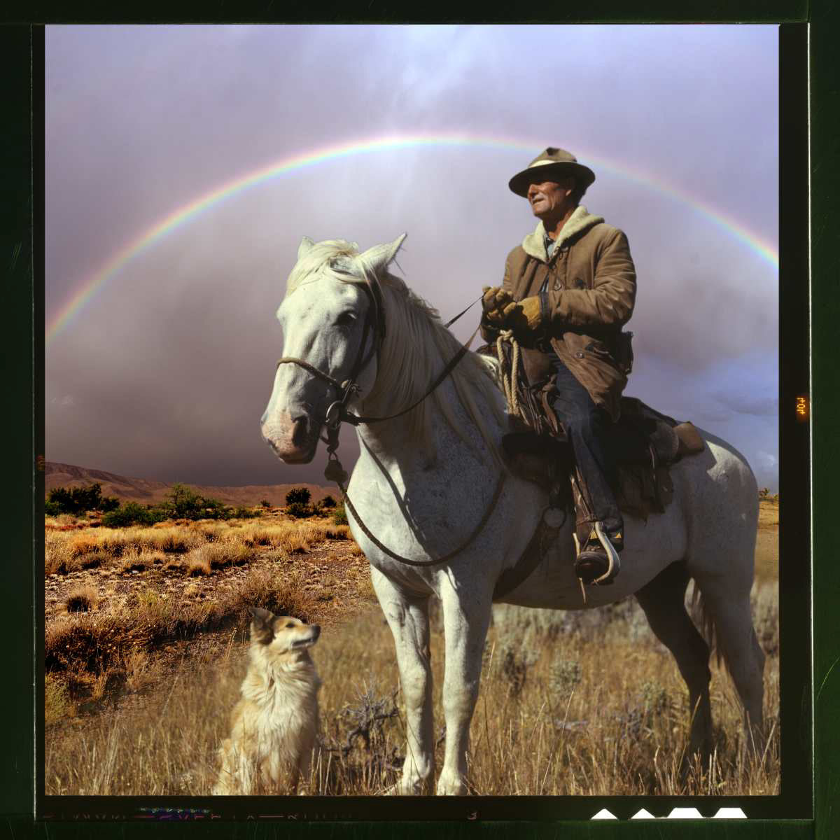 Shepherding Miracles