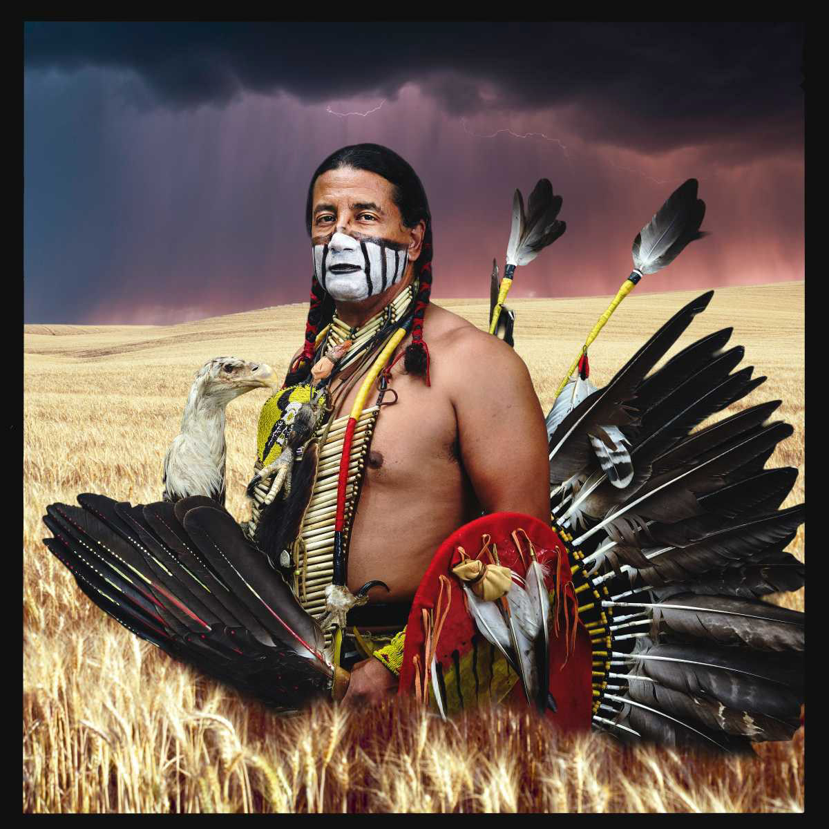 This Land is My Land