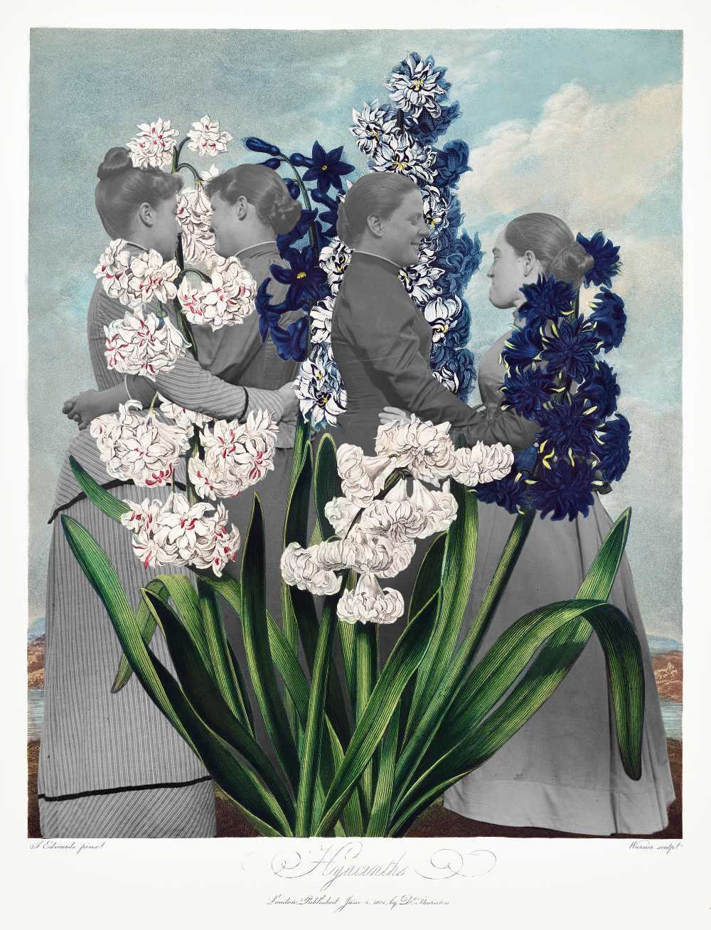 The Darned Flowers