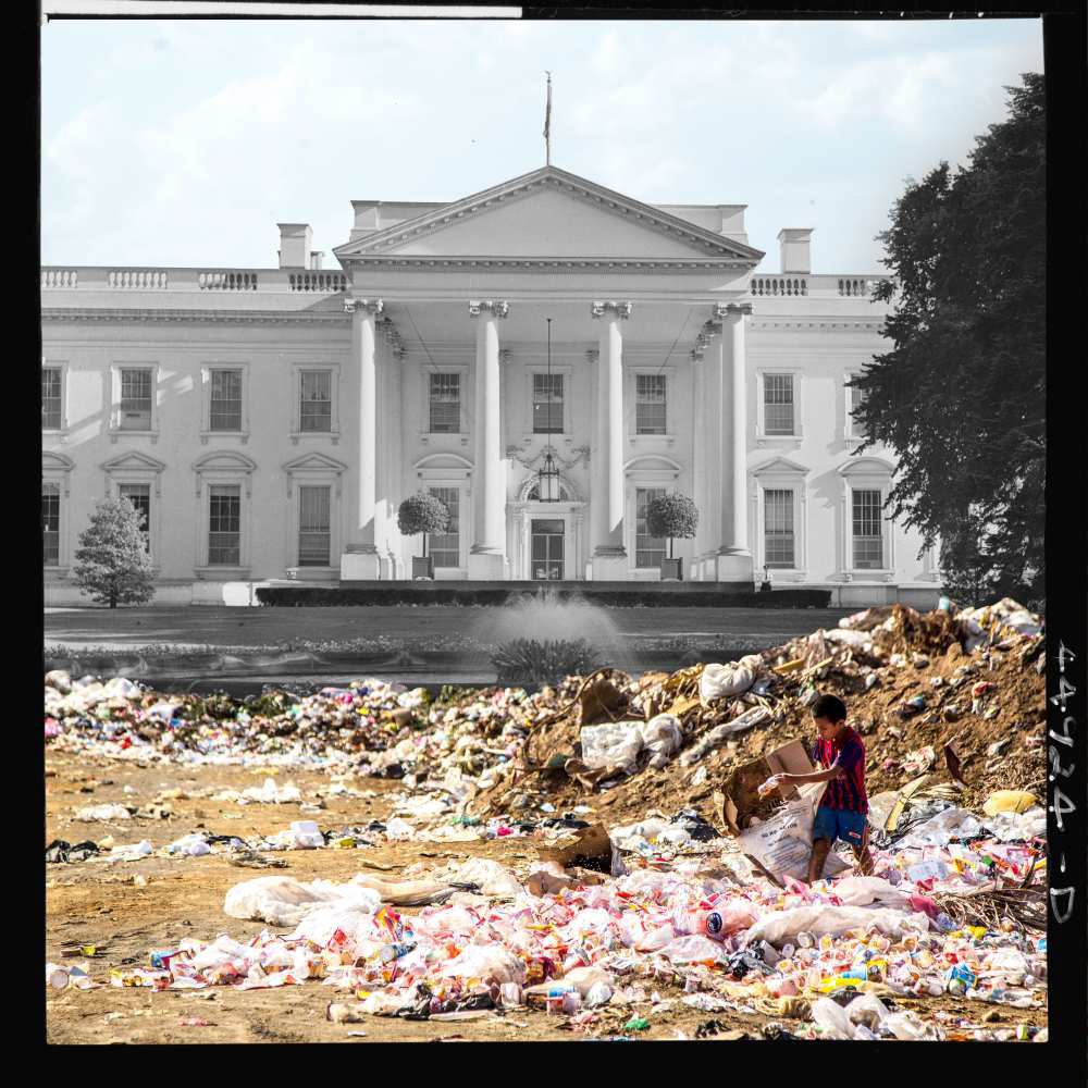 The North Lawn