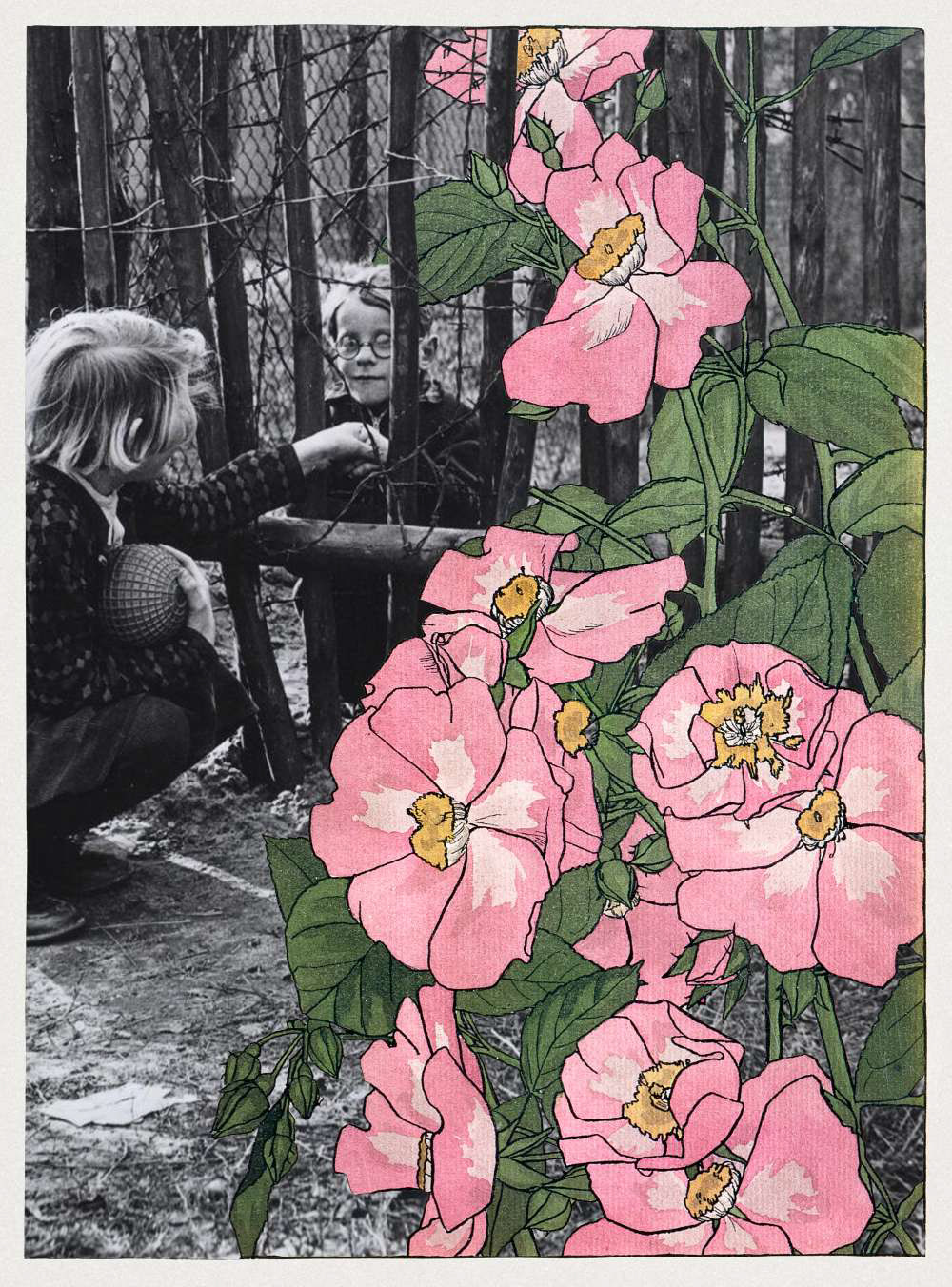 Roses Among Thorns