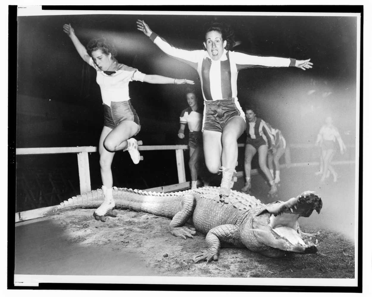 Previous Olympic Sport