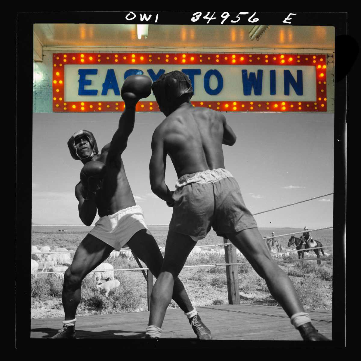 Fight to Win