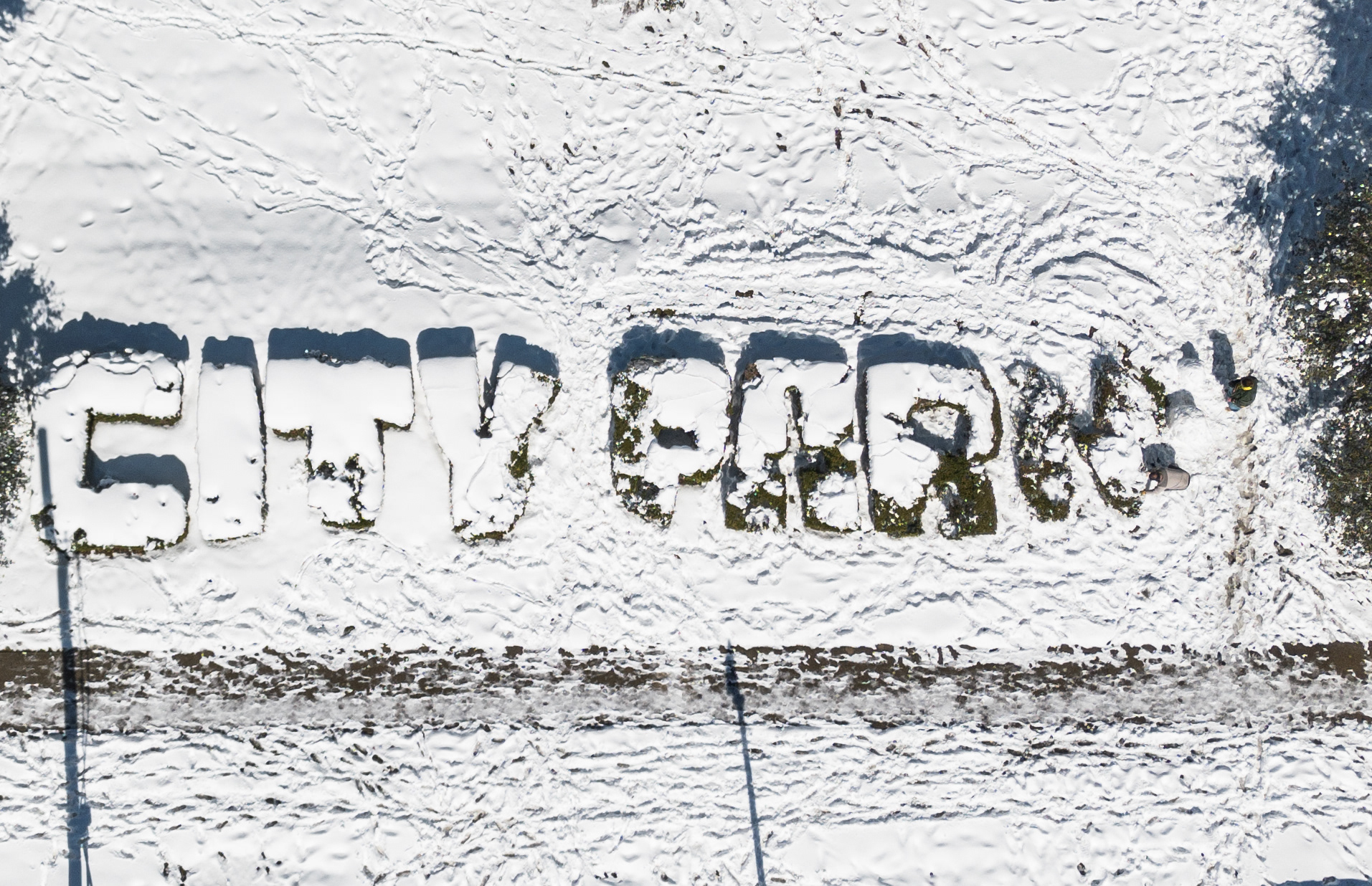 A rare snow day in New Orleans