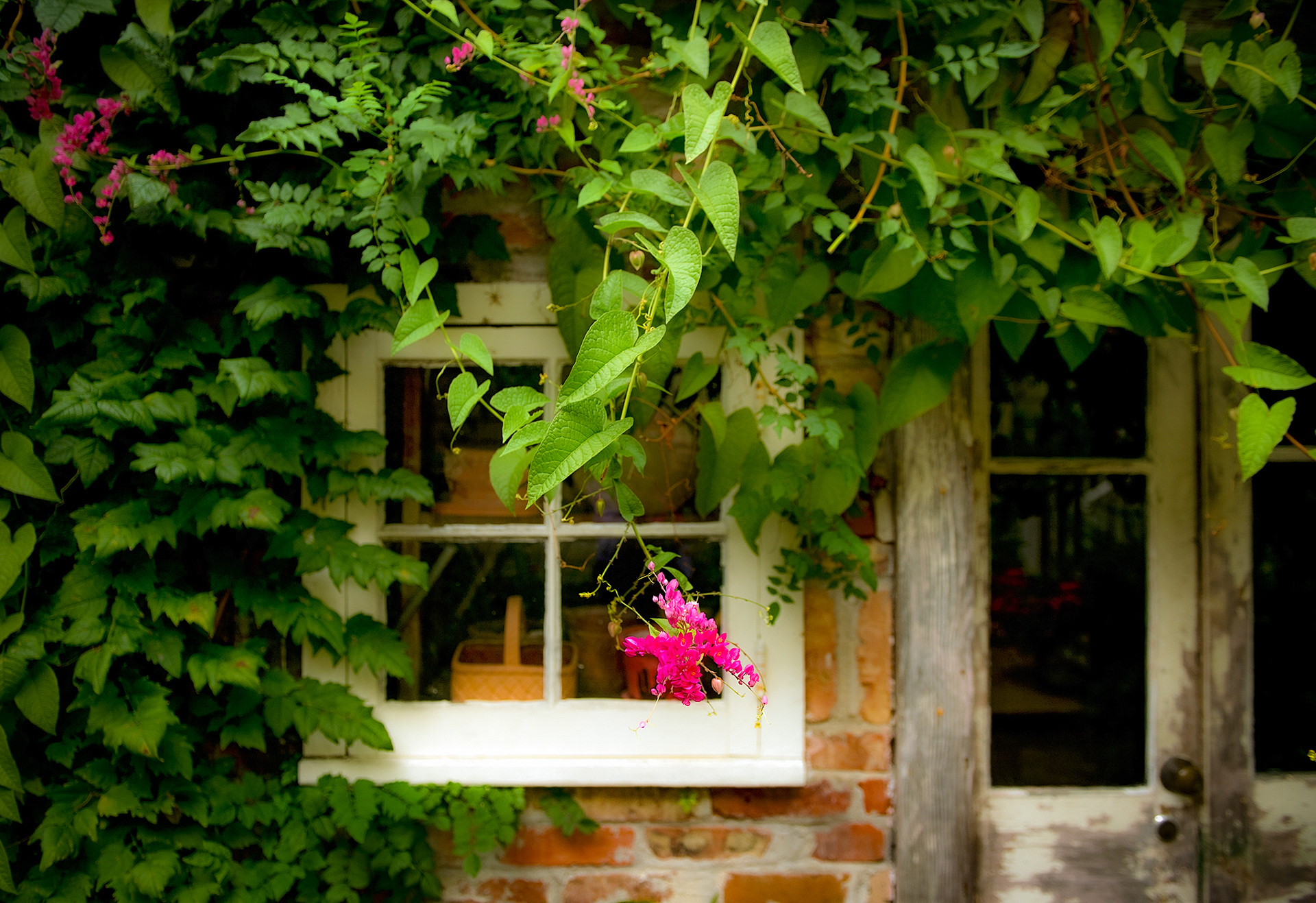 The Secret Gardens of the Vieux Carre