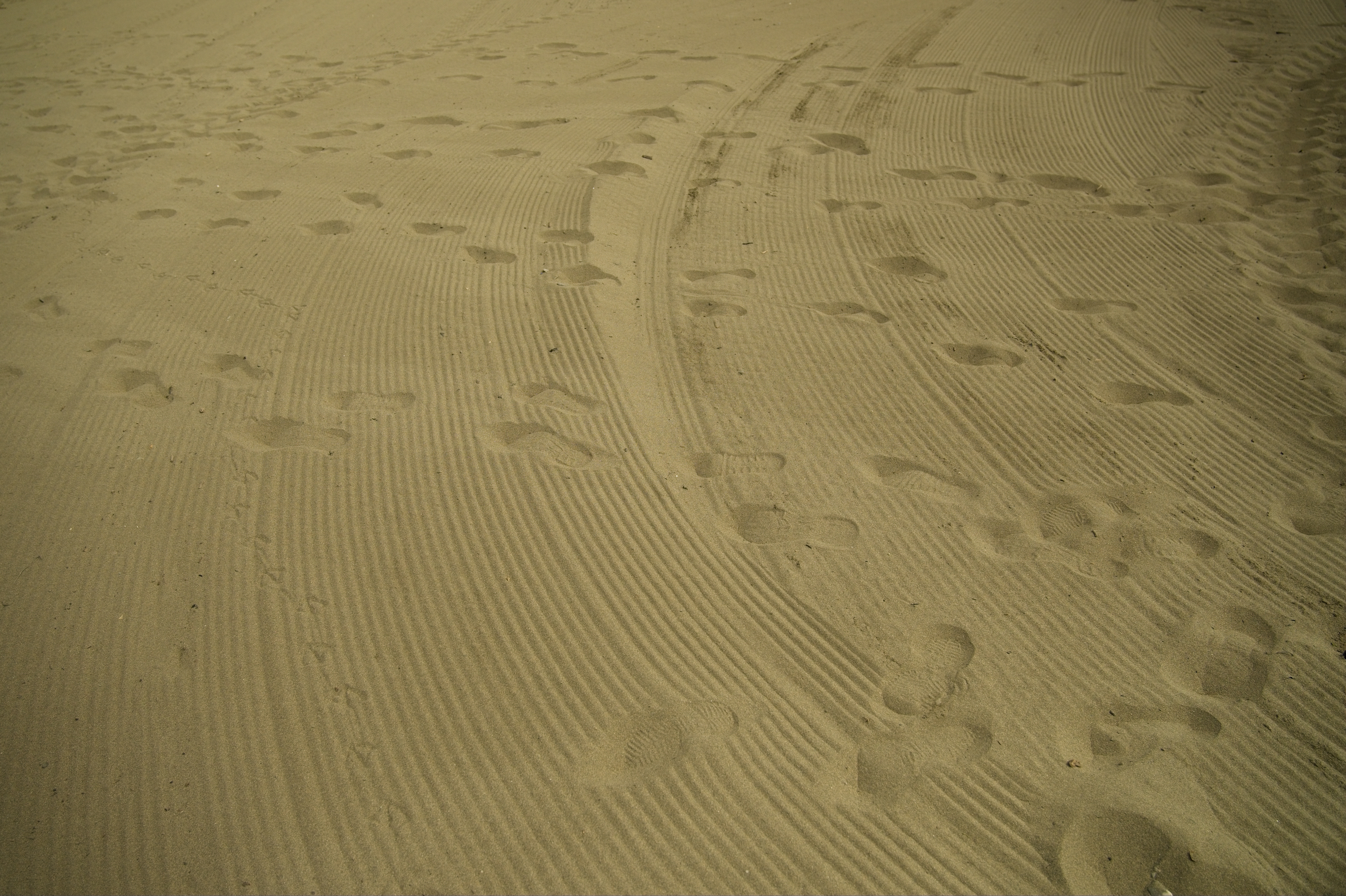 Footprints 