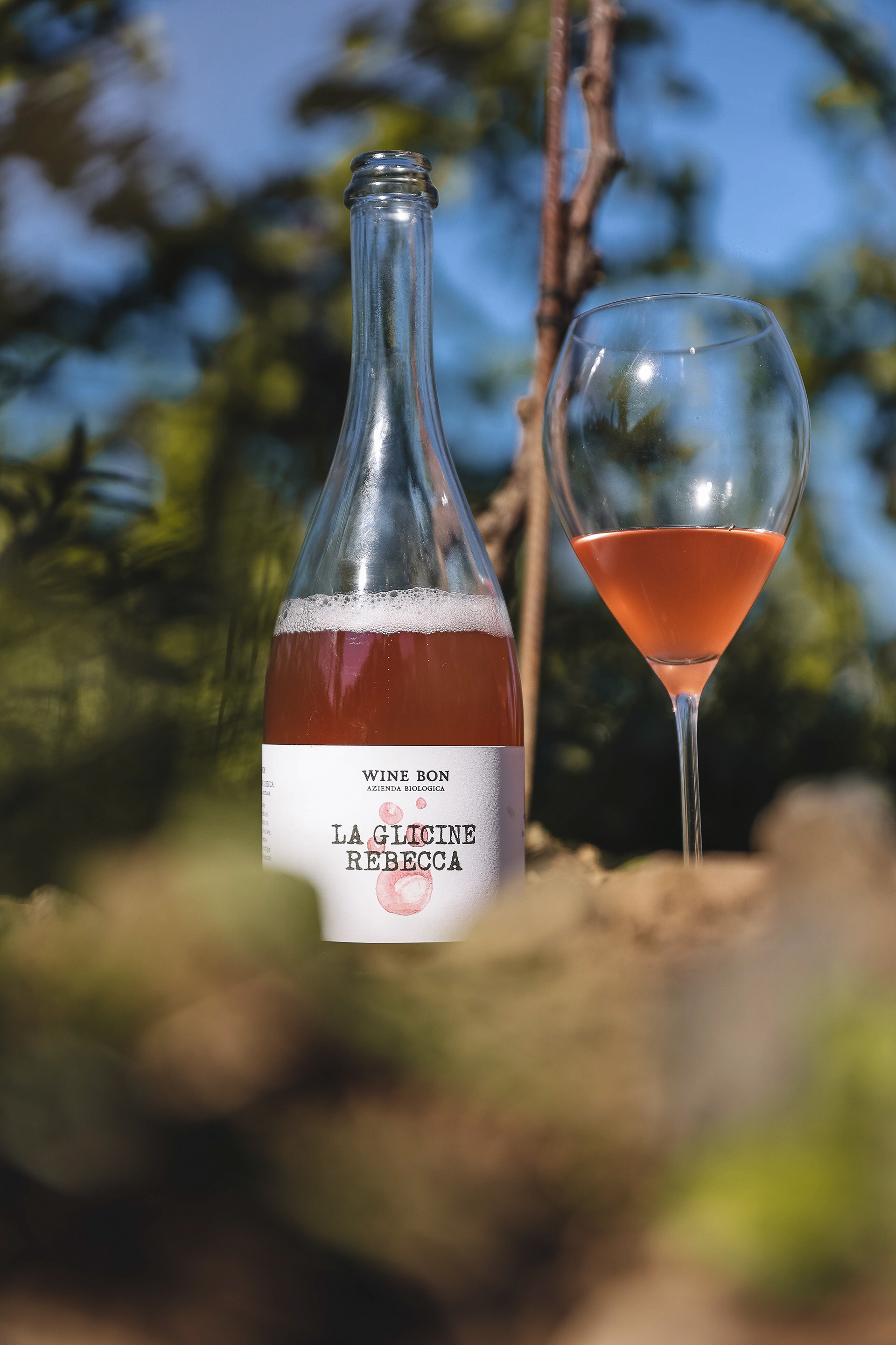 WINE BON - 2022