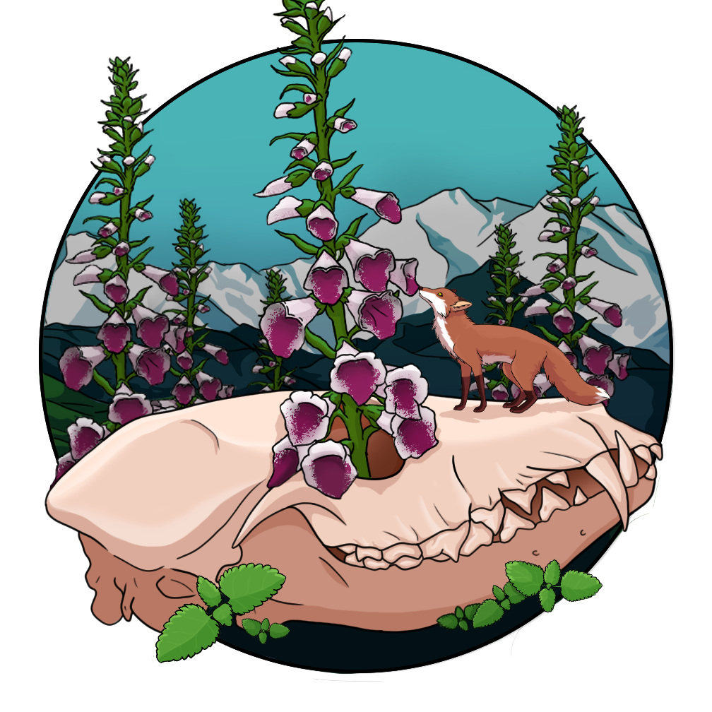 Vulpine Denali May 2020