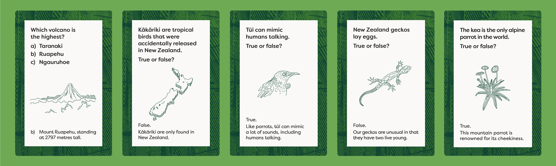 Some more back of the trivia snap cards