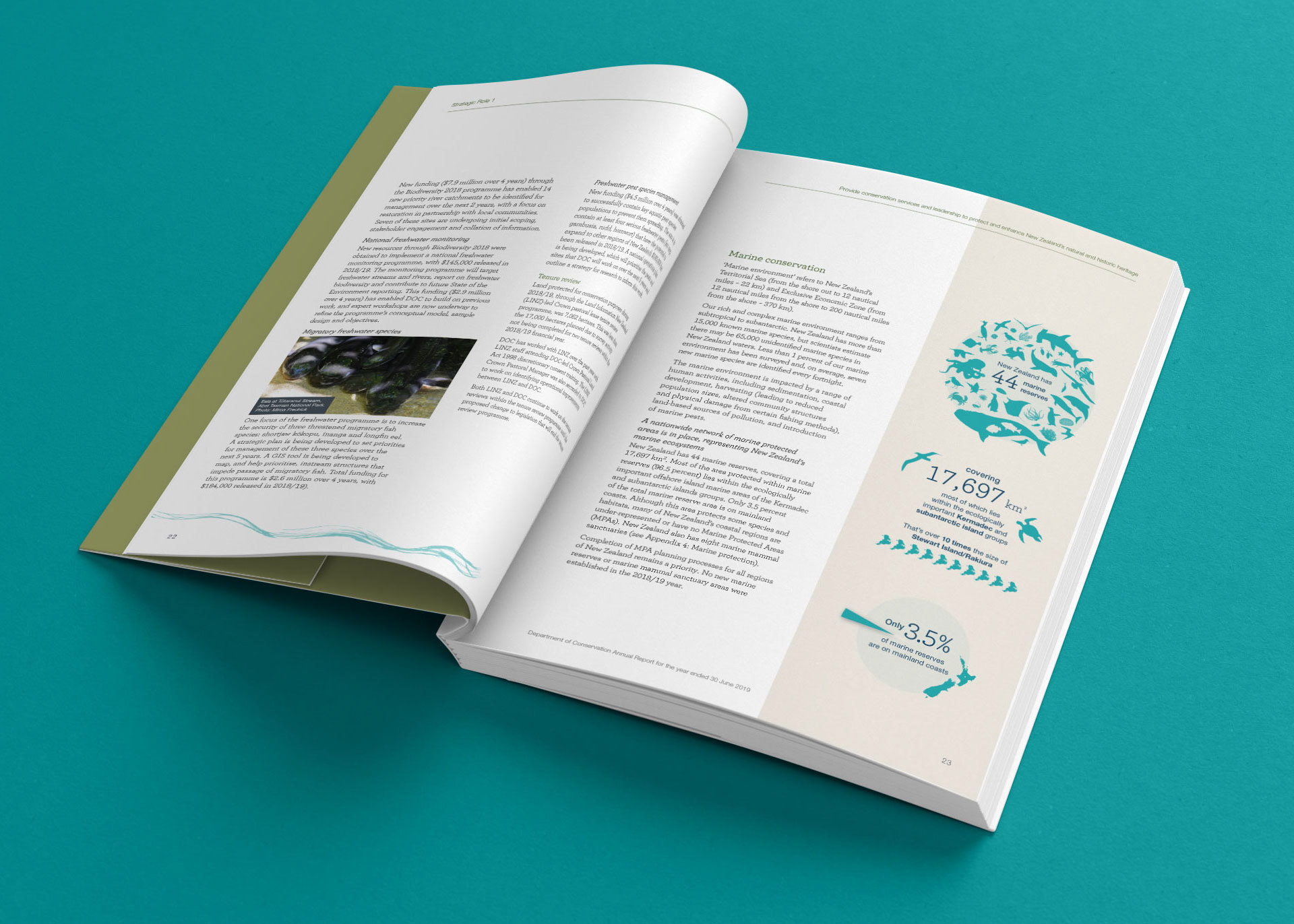 Annual Report Spread 3