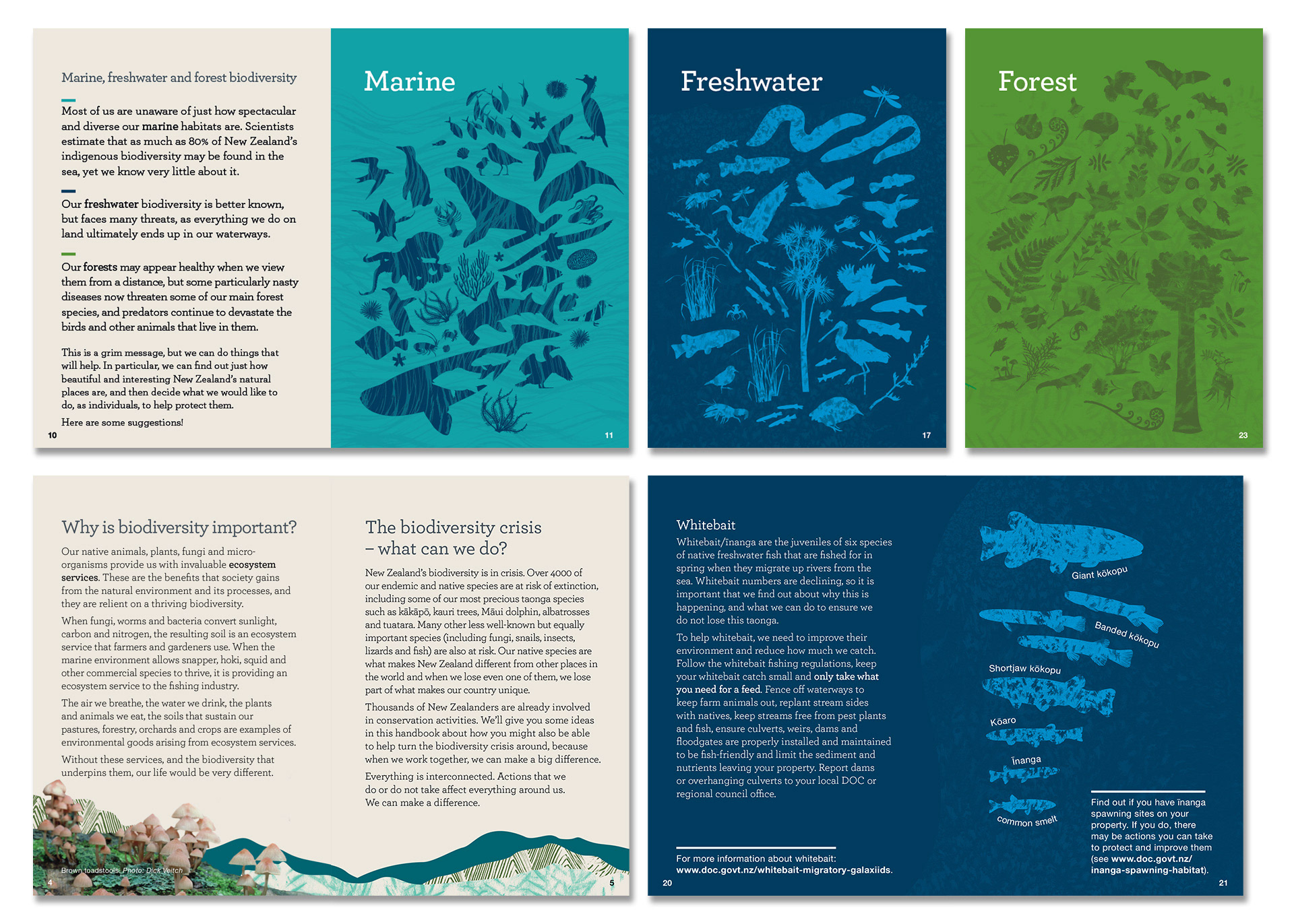 Booklet spreads