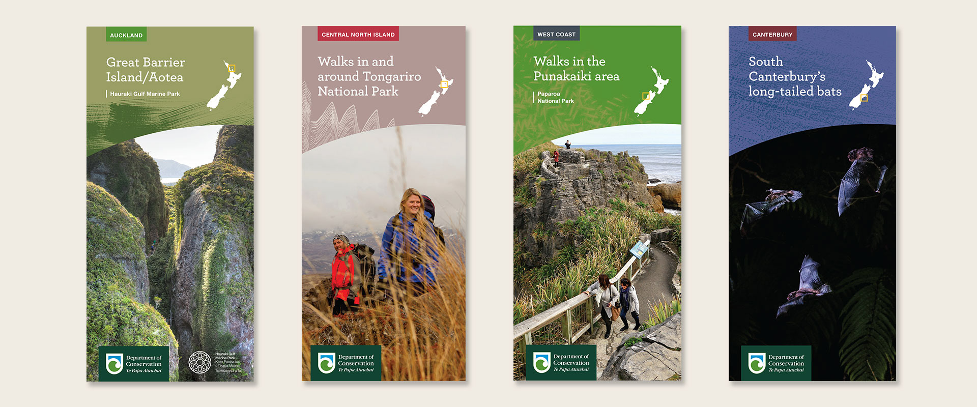 Three walking and one bat brochure cover